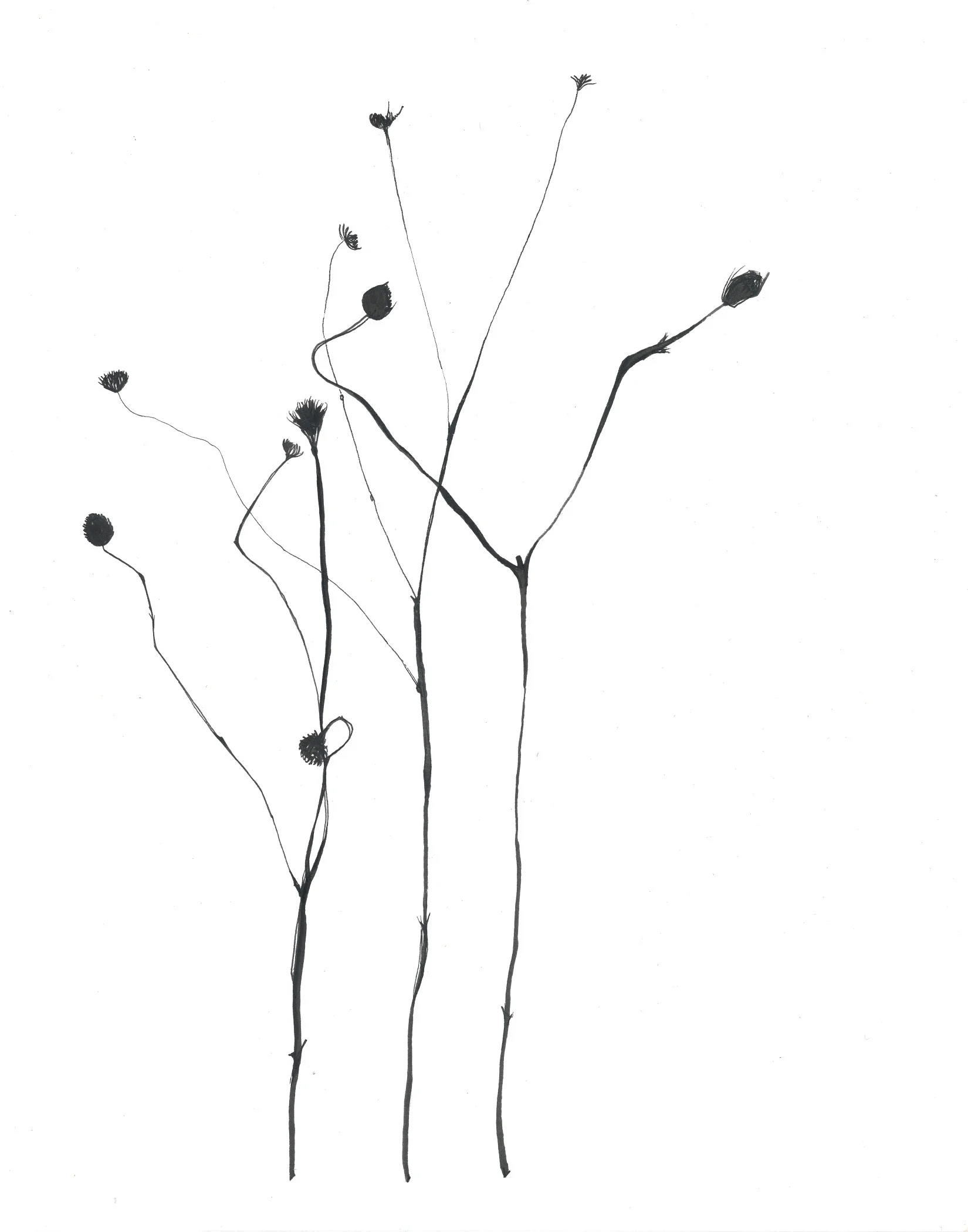BW4.jpg