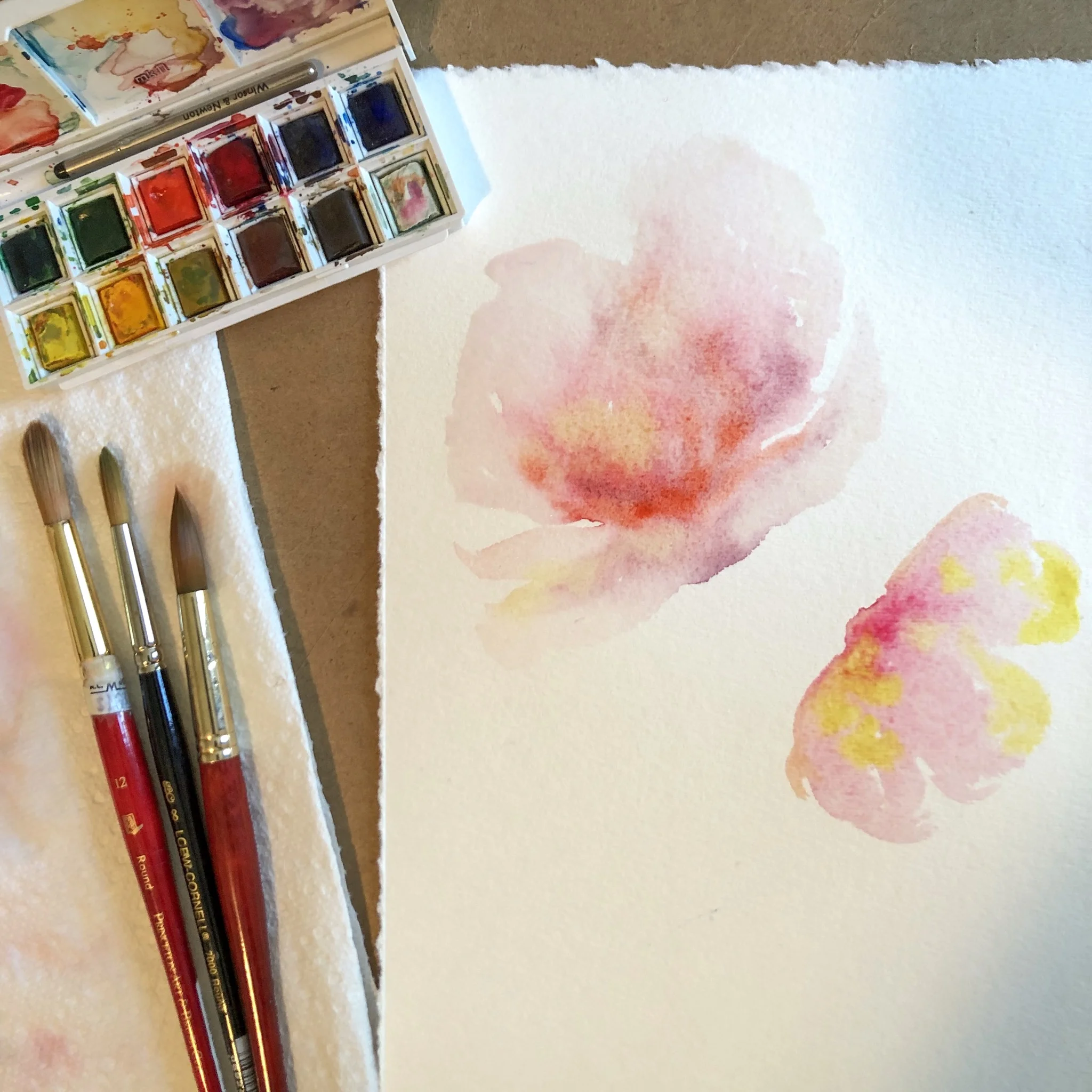 Watercolor Basics_Florals_1.JPG