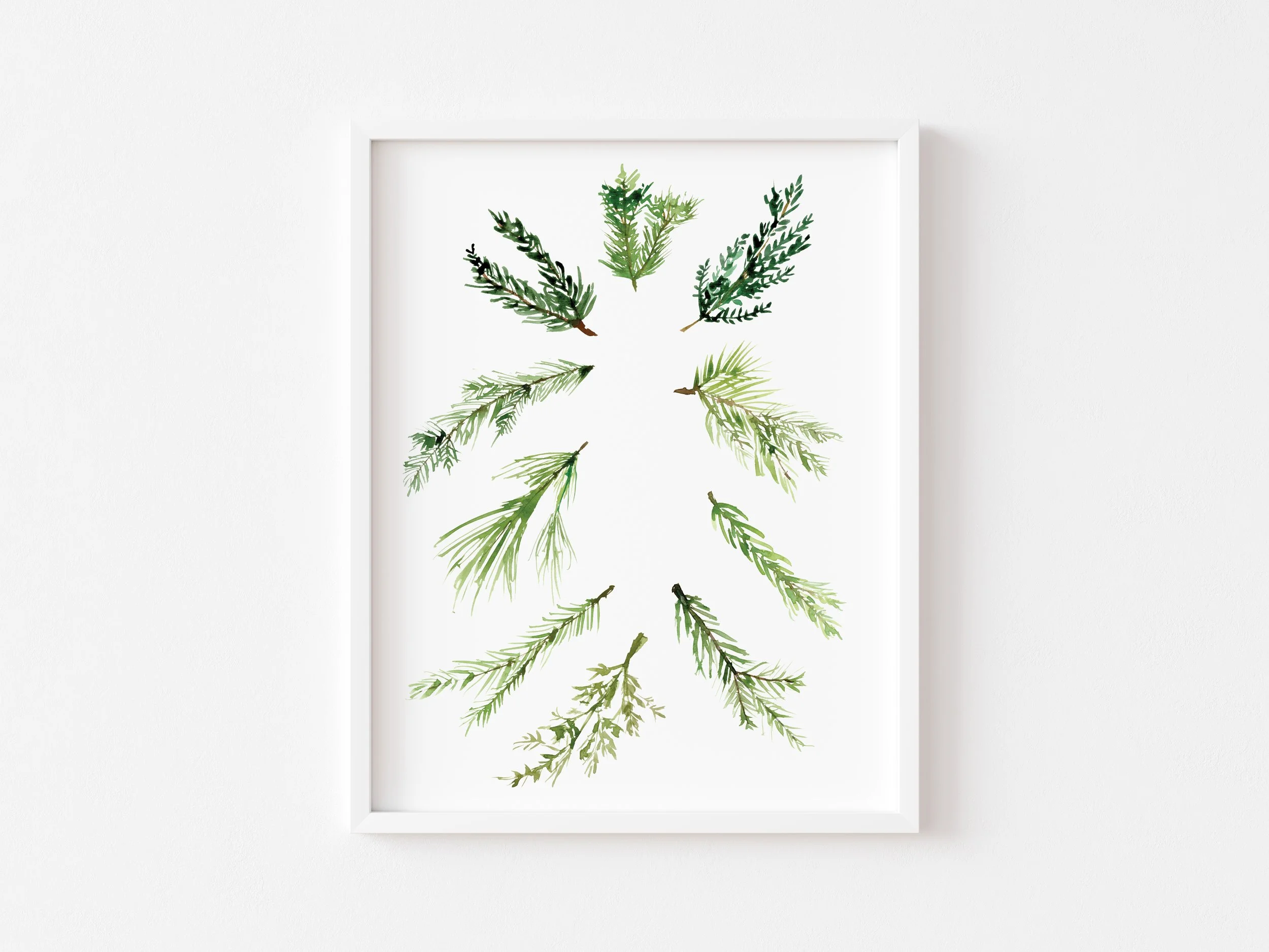 white-frame-white-background-verticalpine-sprig-c.jpg