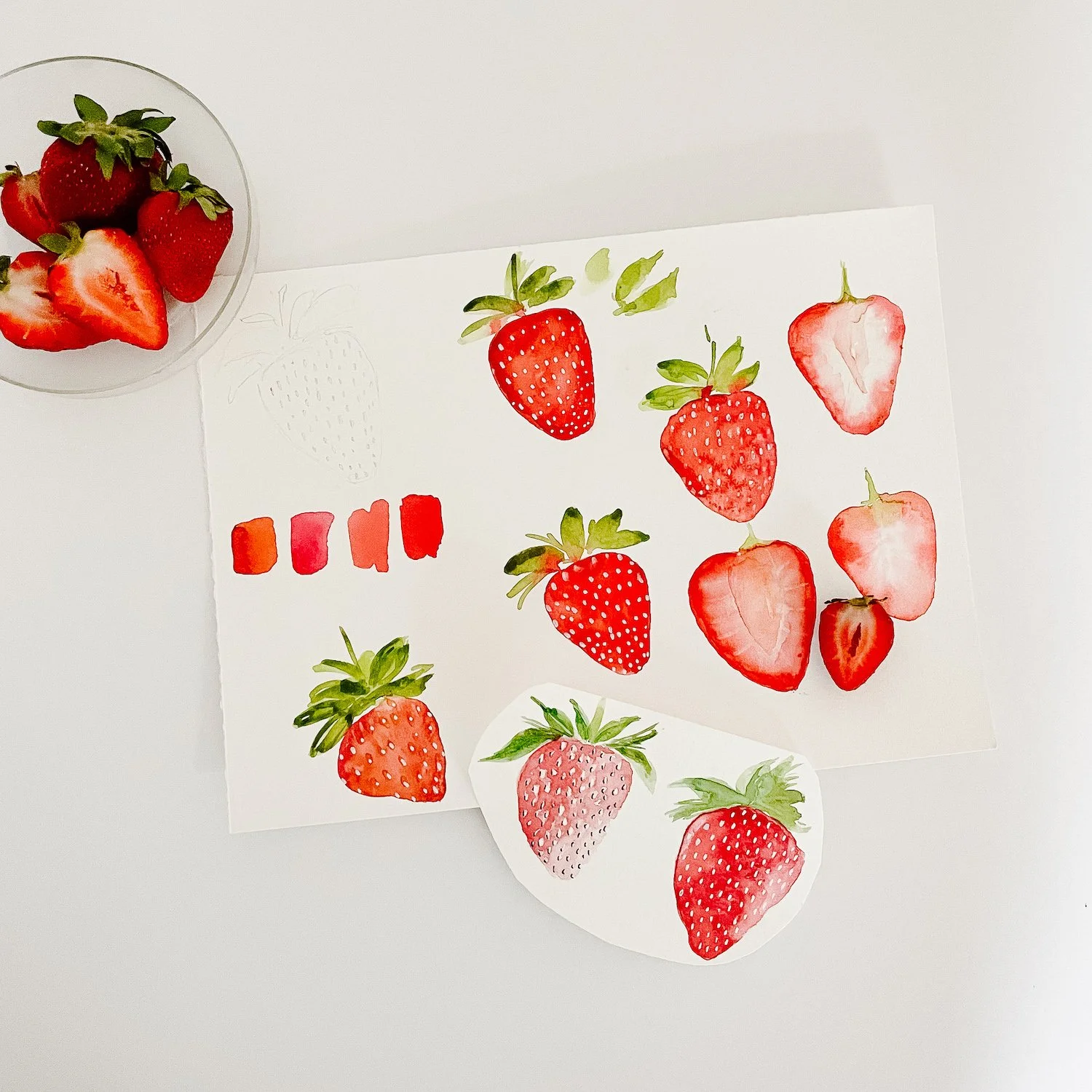 Summer Fruits  in Watercolor with Rochester Brainery