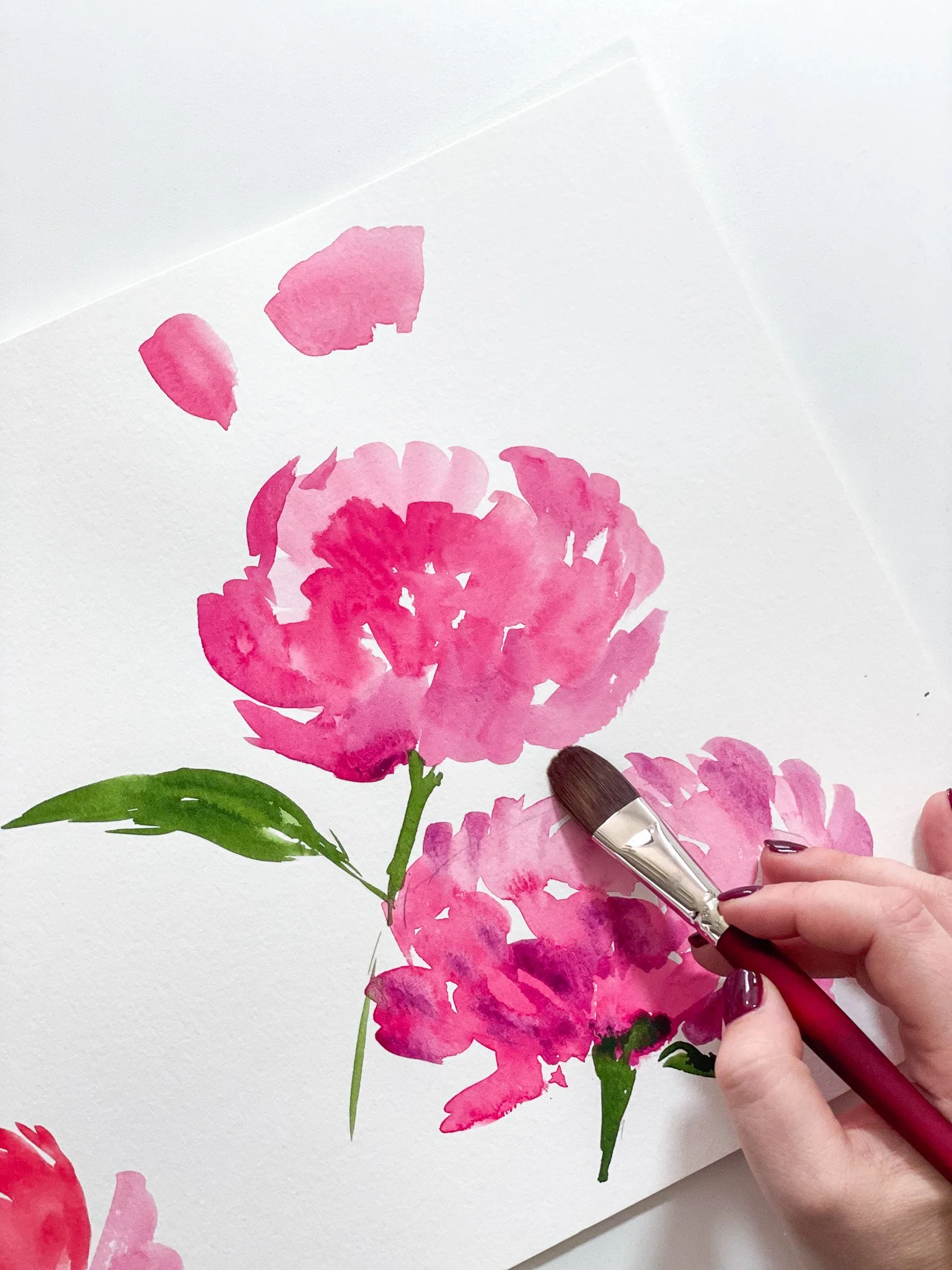 Peonies in Watercolor: A Floral Study at MUSEjar