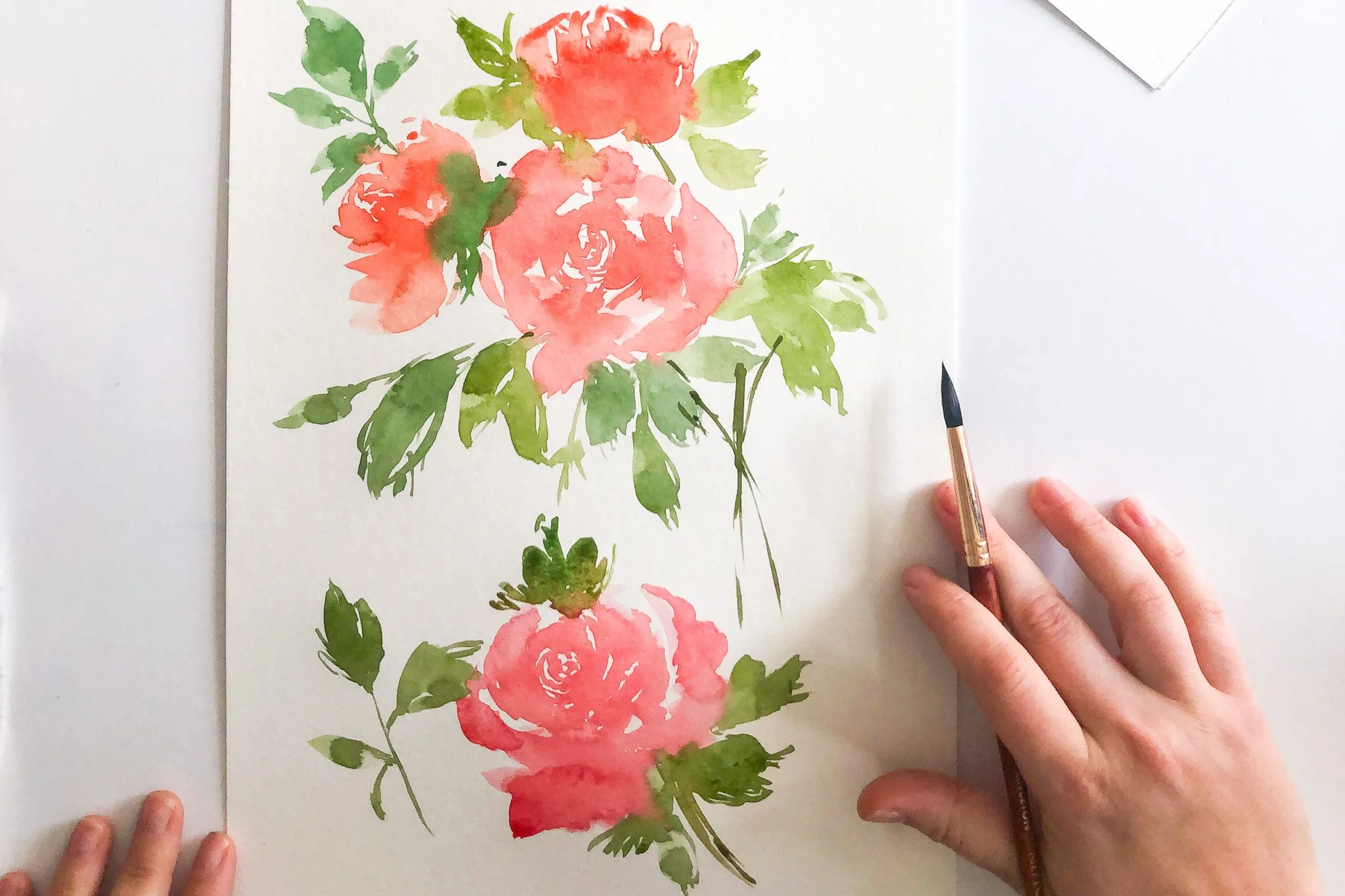 Roses in Watercolor with Rochester Brainery