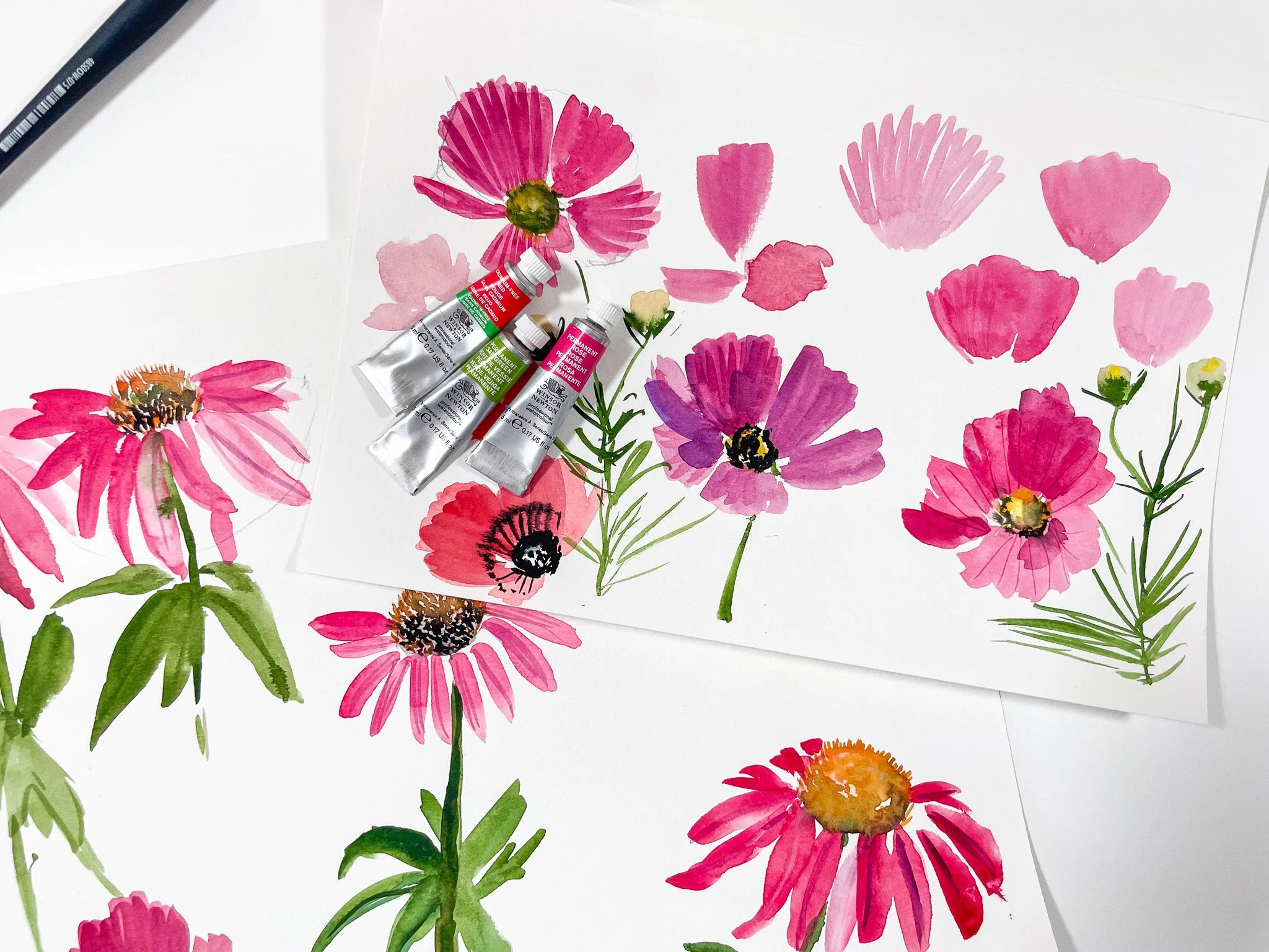Cosmos &amp; Coneflowers in Watercolor with Rochester Brainery