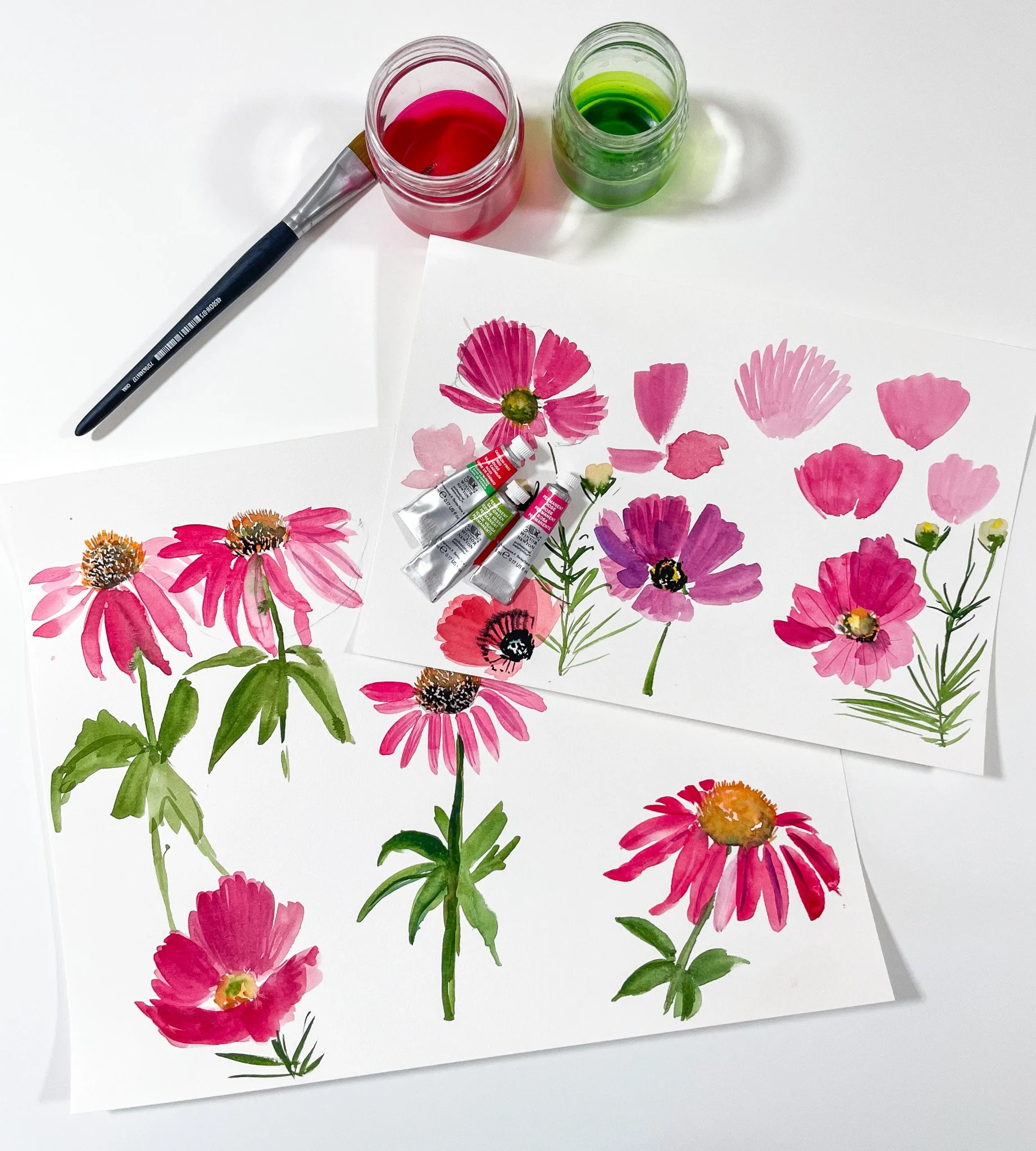 Cosmos &amp; Coneflowers in Watercolor with MUSEjar
