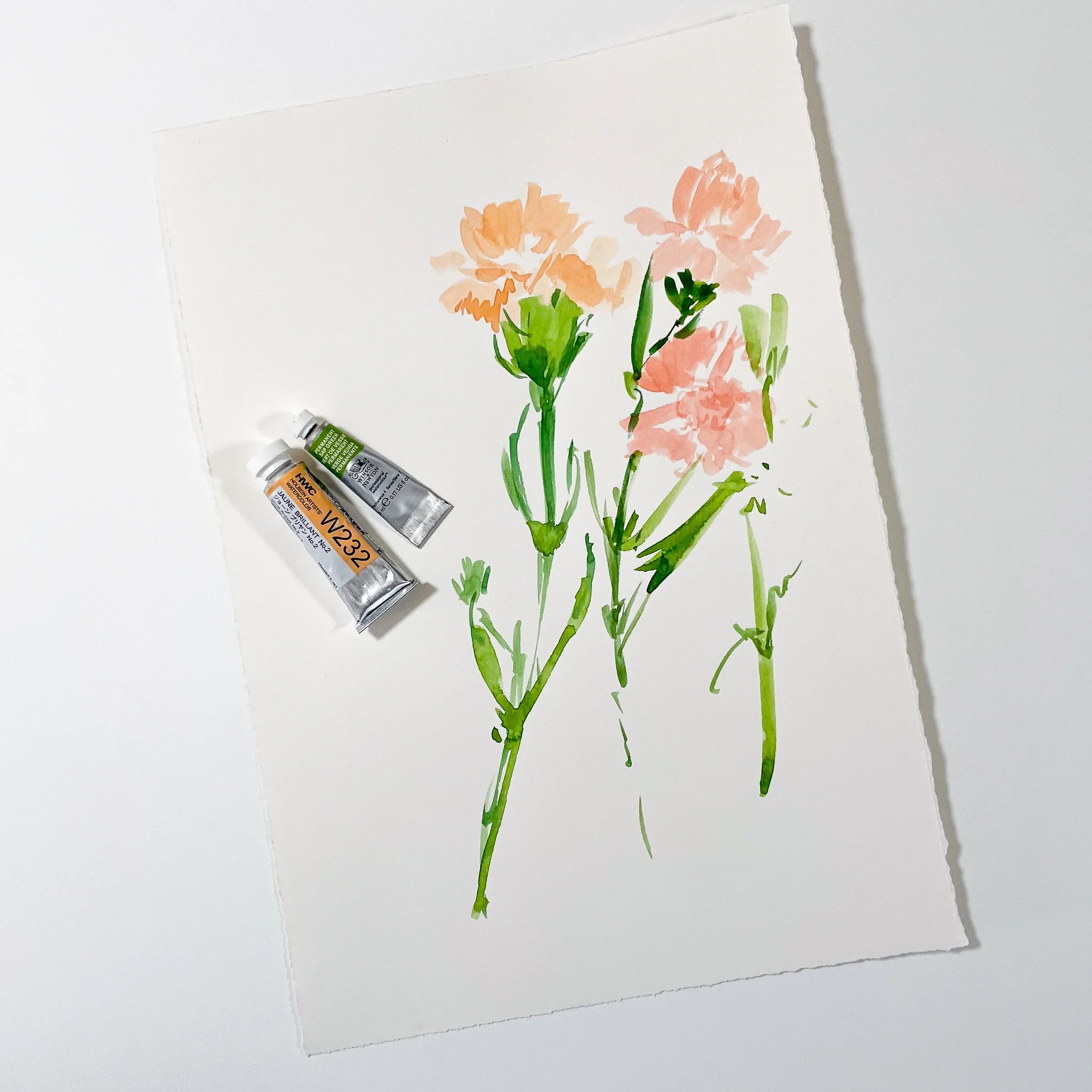 Carnations in Watercolor with MUSEjar 
