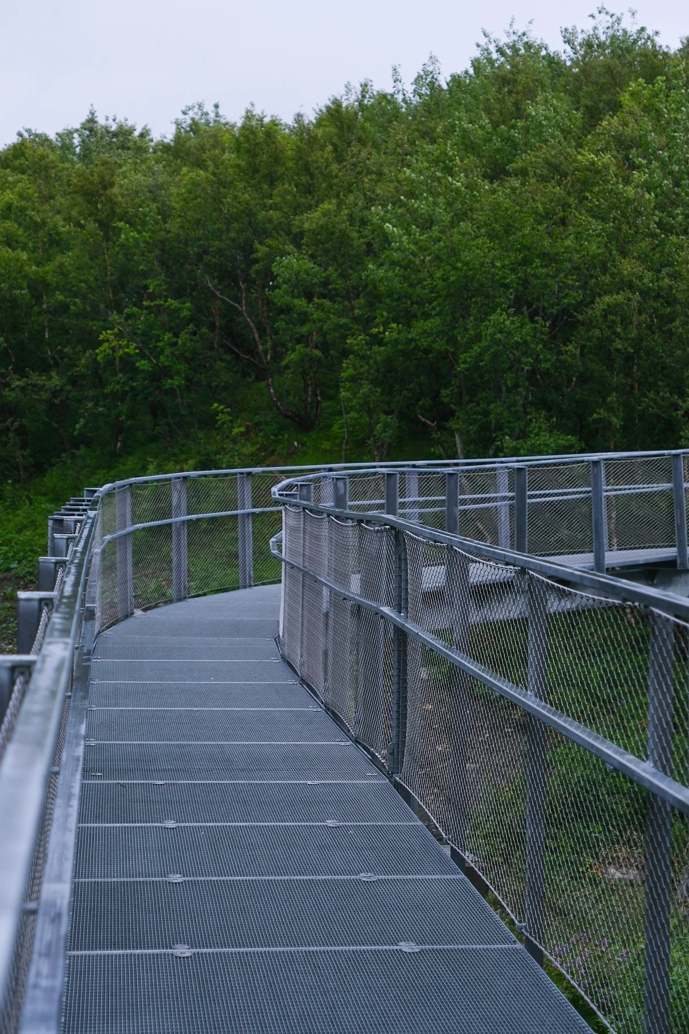DSCF4618.jpg