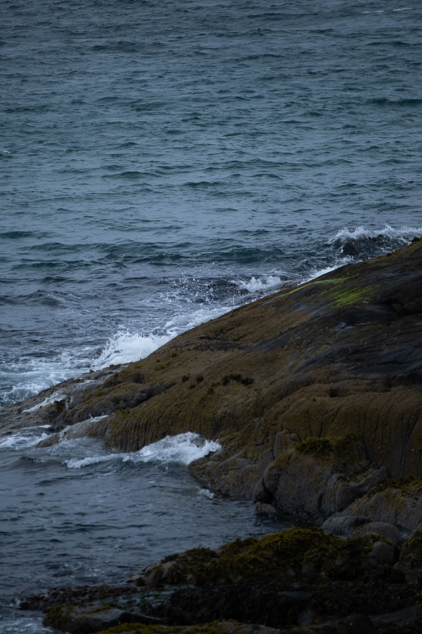 DSCF4648.jpg
