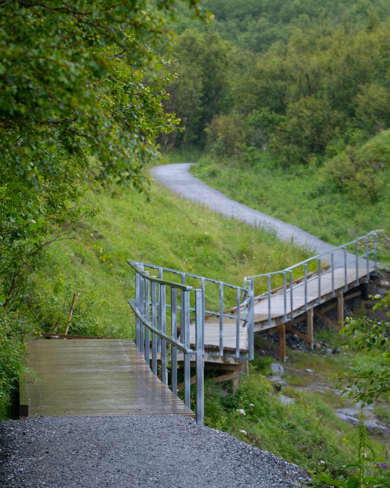 DSCF4554.jpg