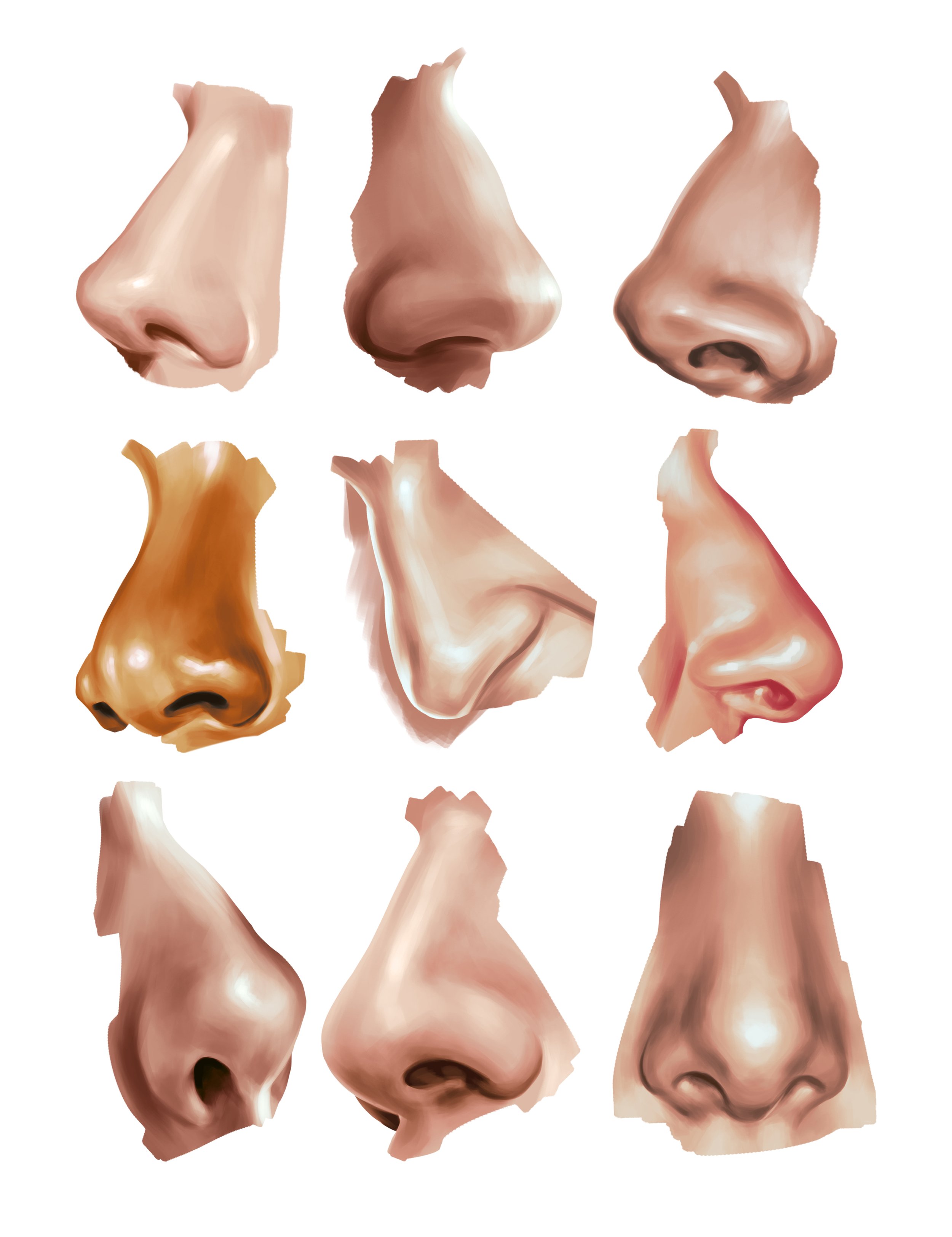 Noses.jpg