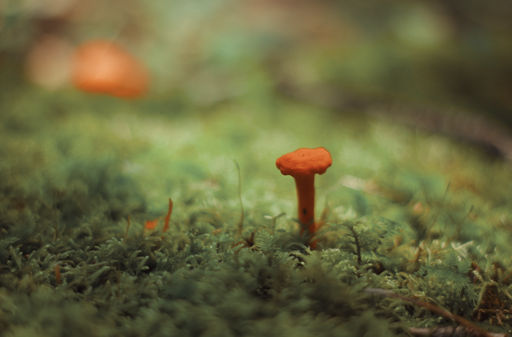 Screenshot 2024-01-08 at 7.43.21 PM.png