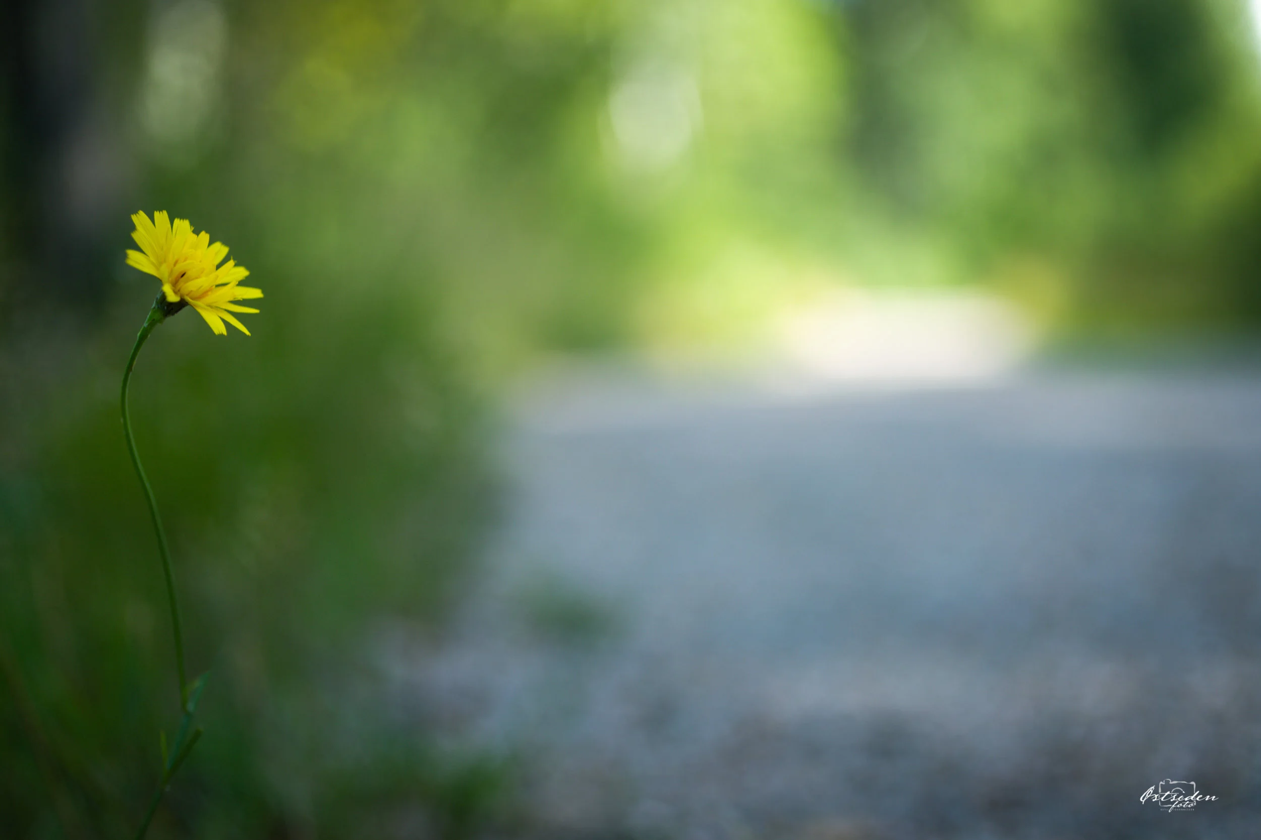 IMG_7604-Edit.jpg