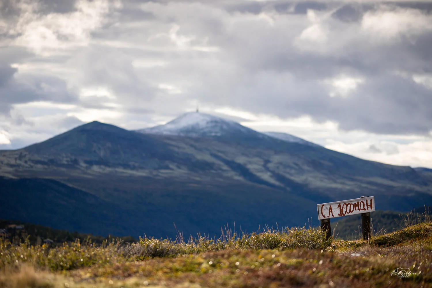 Høvringen.jpg