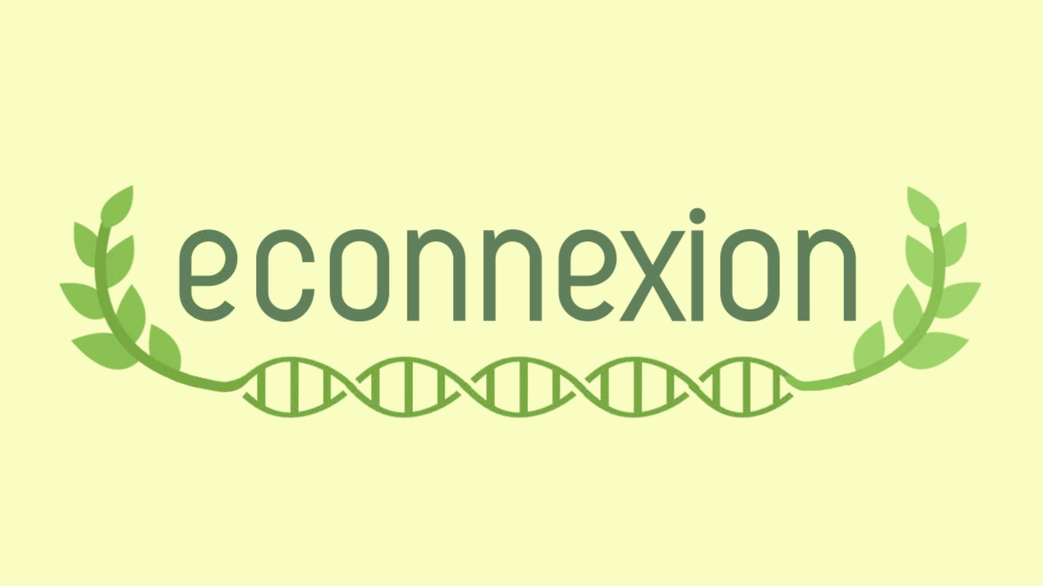 Econnexion_1-1.jpg