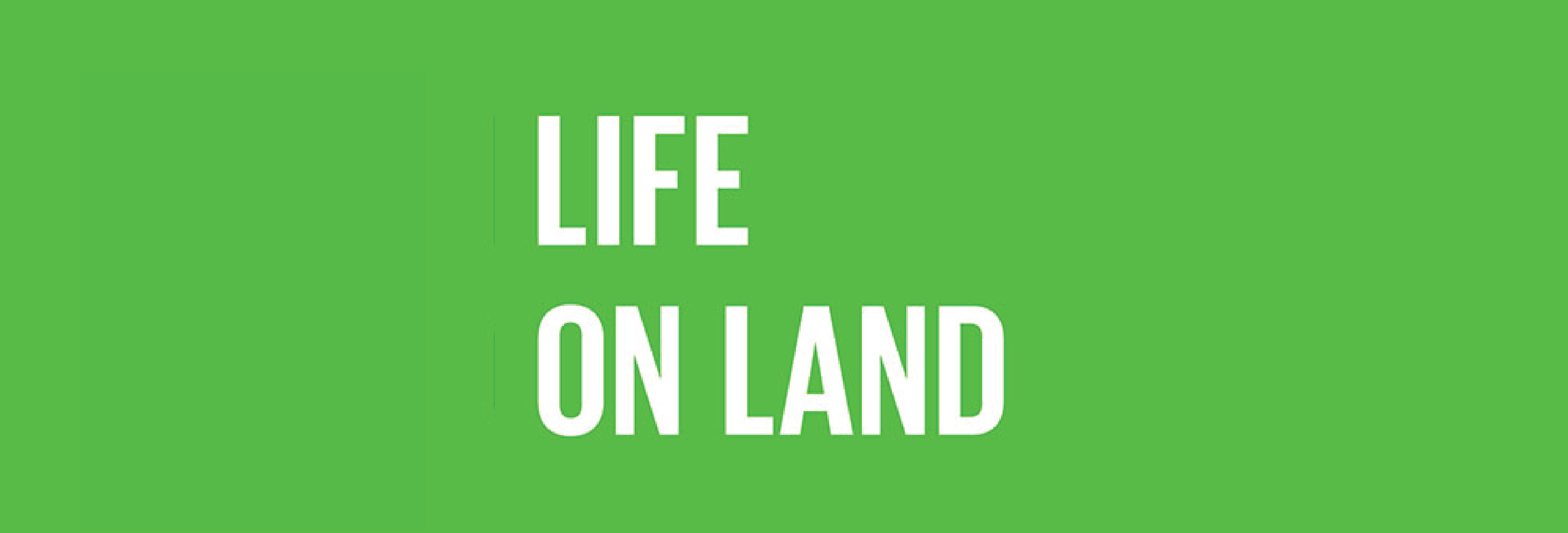 land-01.png