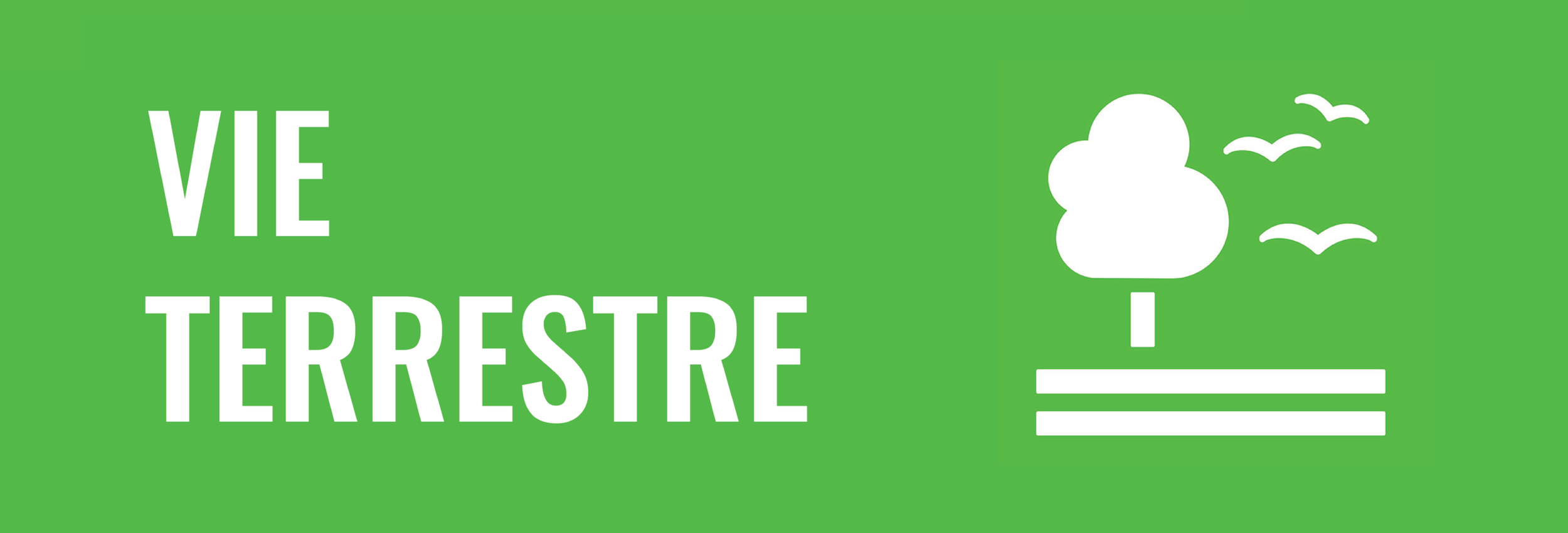 Vie Terrestre-01.png