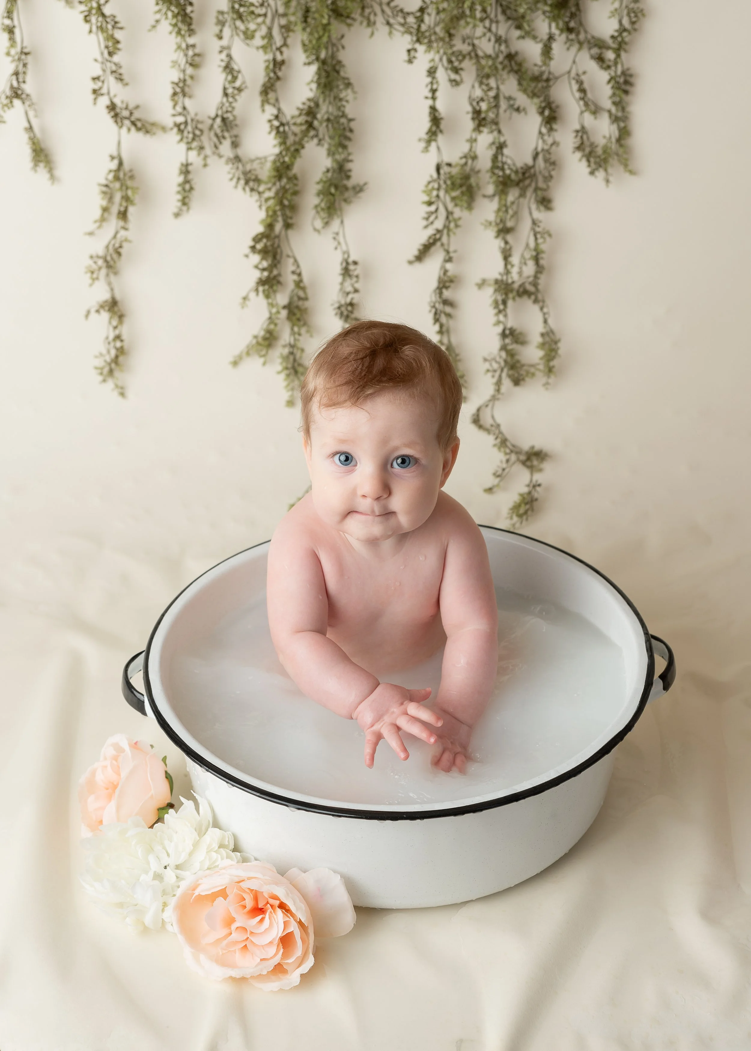 Addison--Sitter-19.jpg