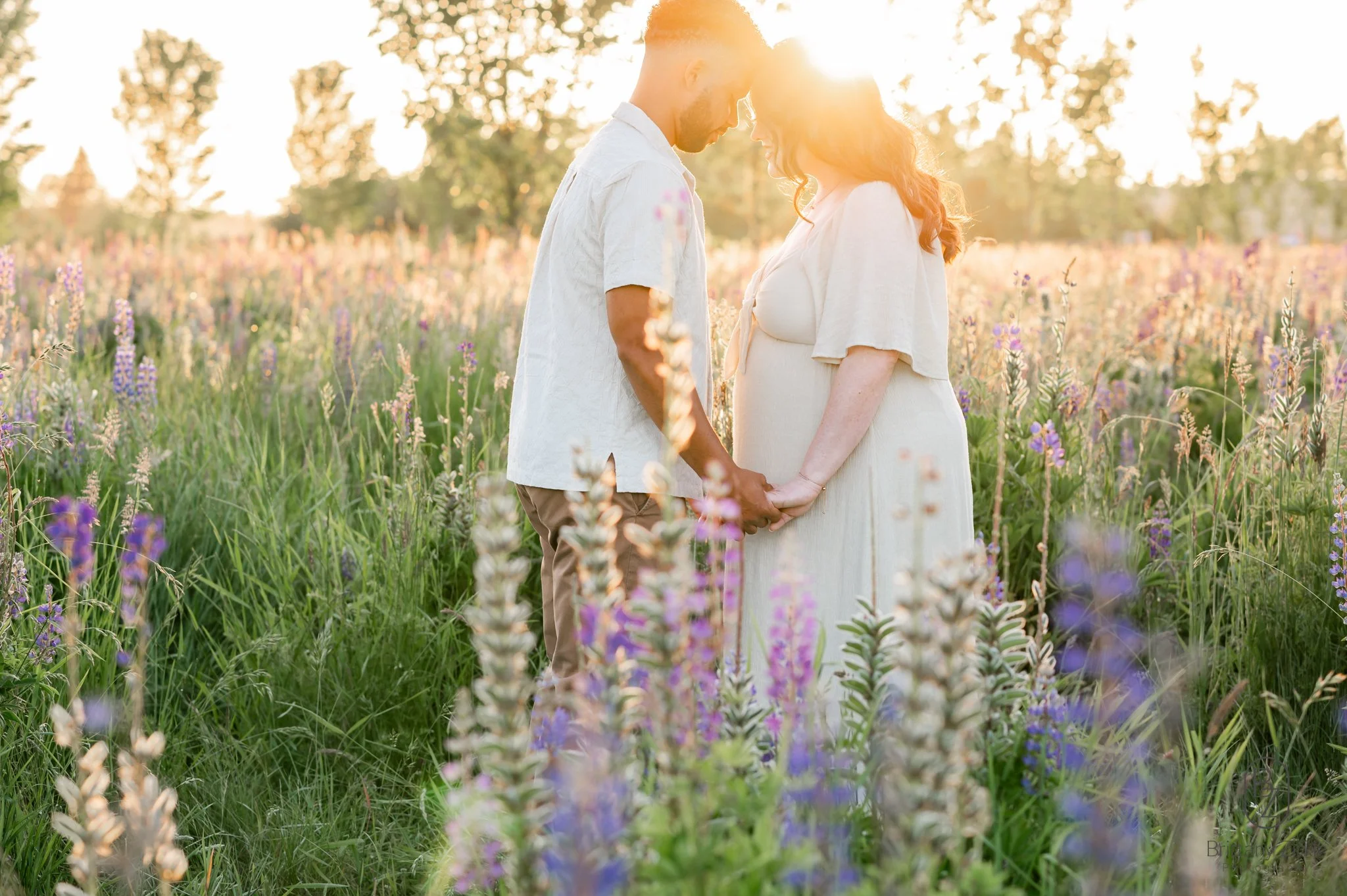 lupine maternity-3.jpg