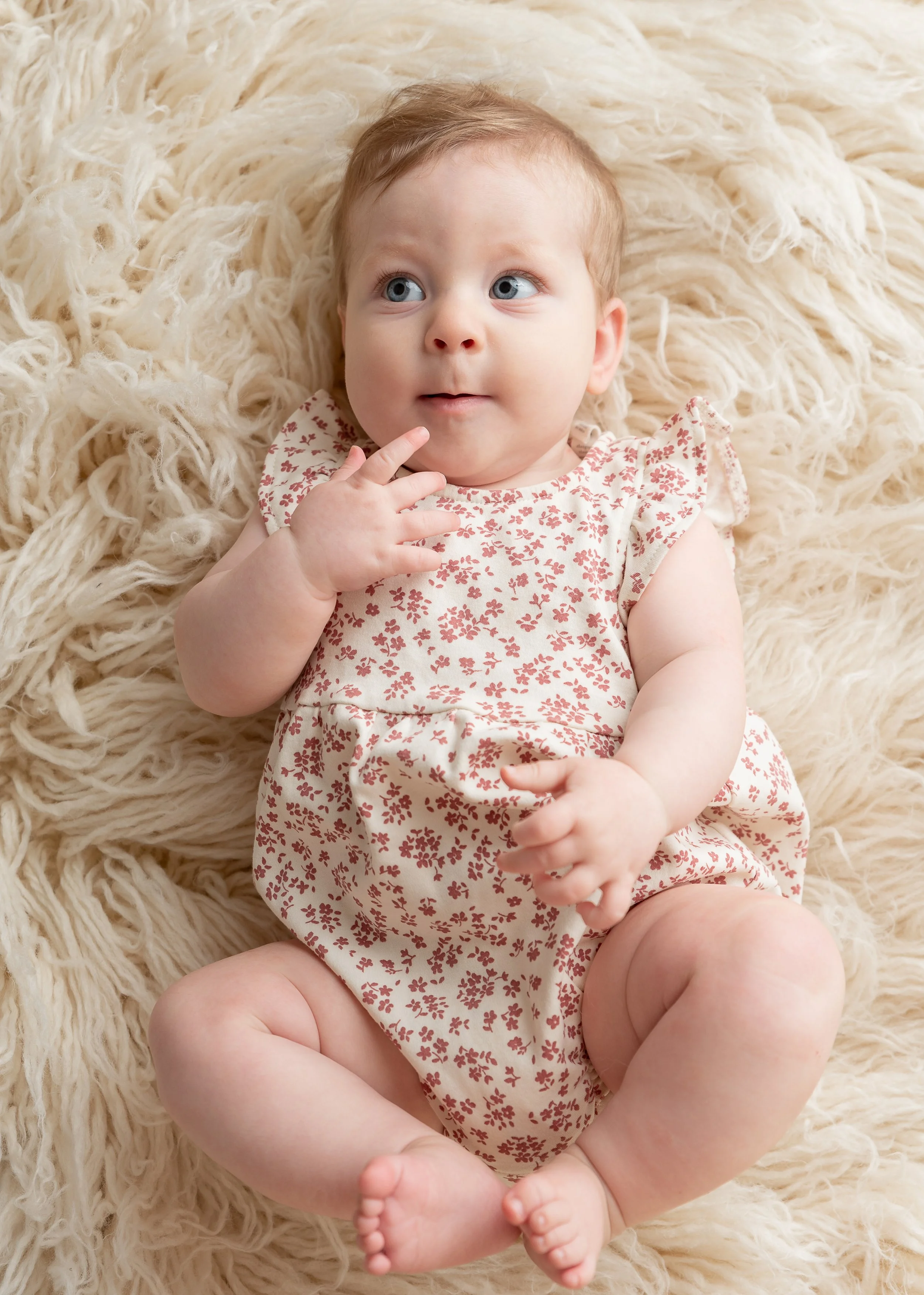 Addison--Sitter-12.jpg