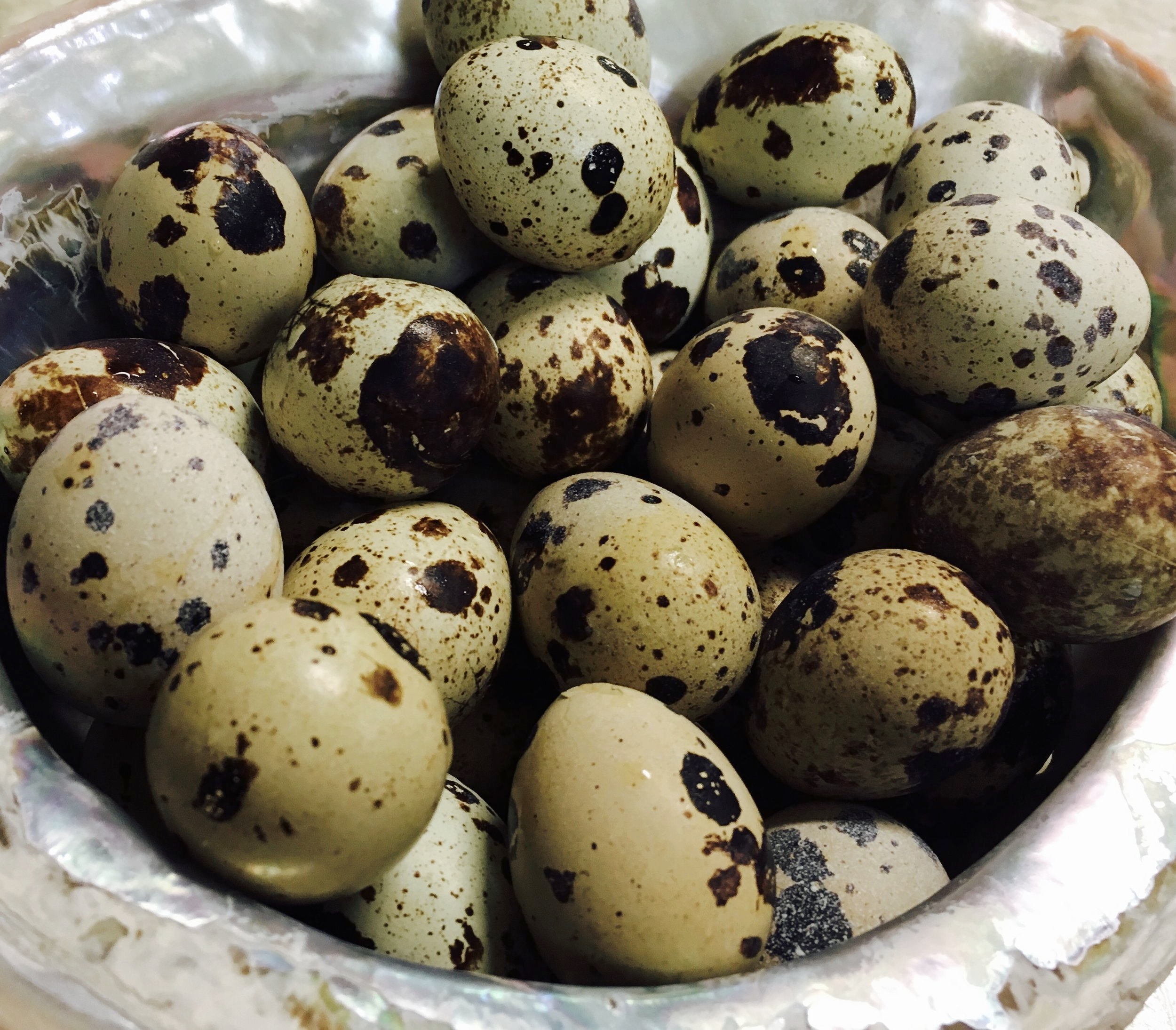 'attuš-heksen • quail eggs