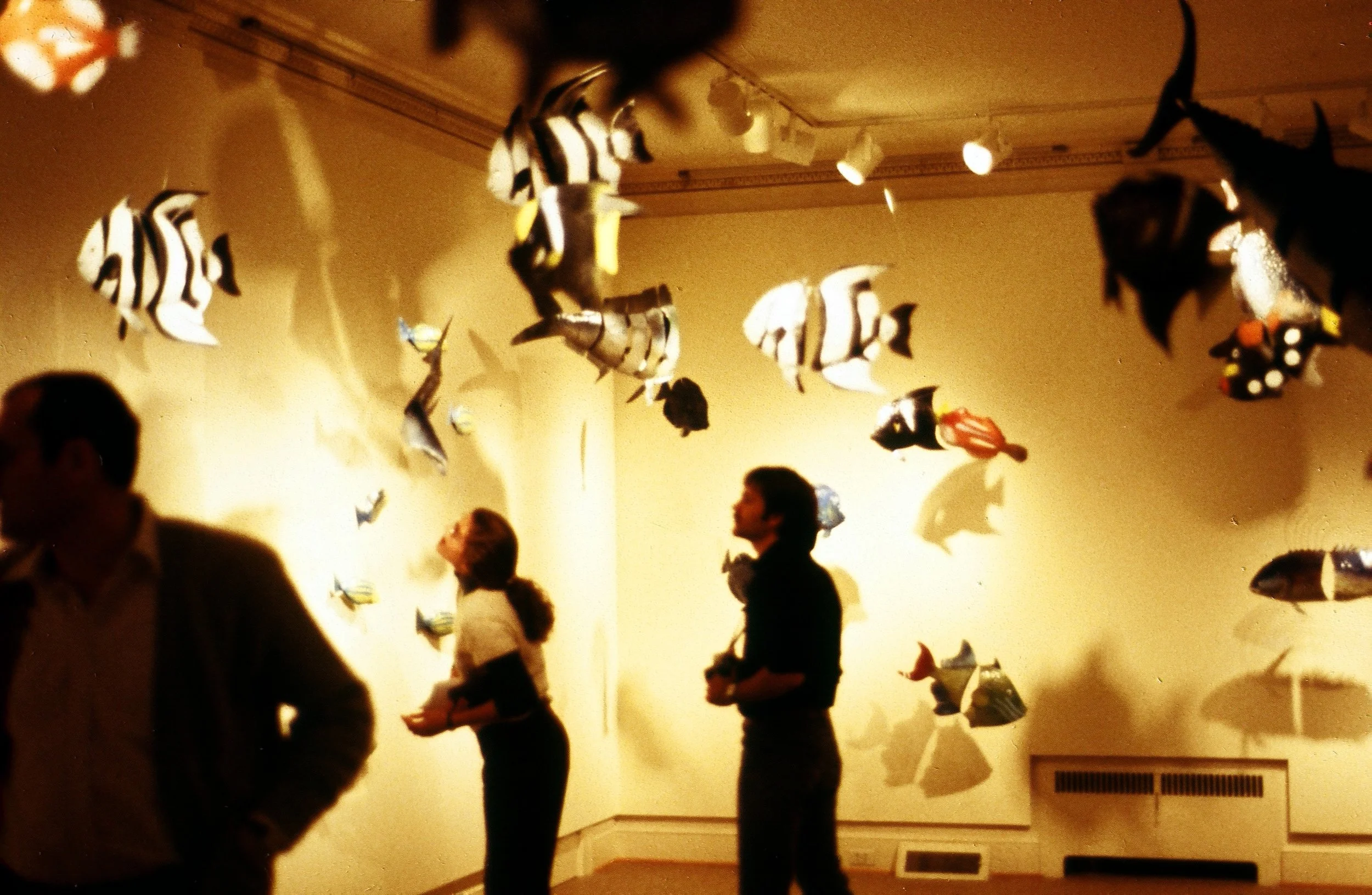 cfa017.jpg