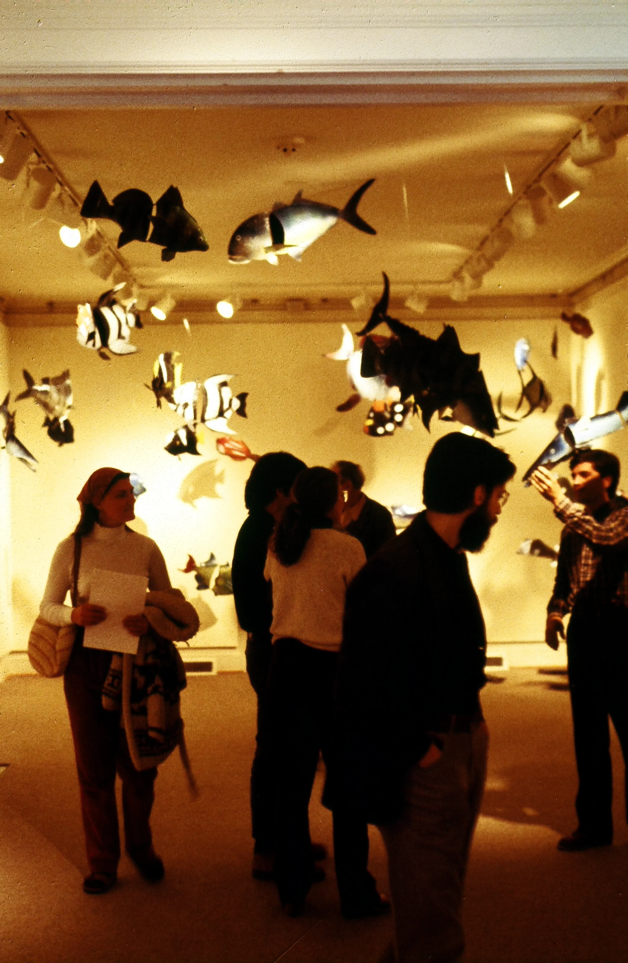 cfa018.jpg