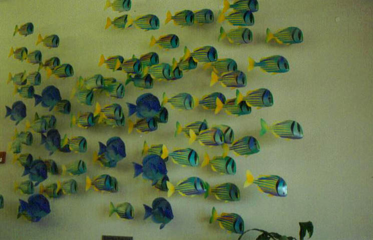 cfa046.jpg