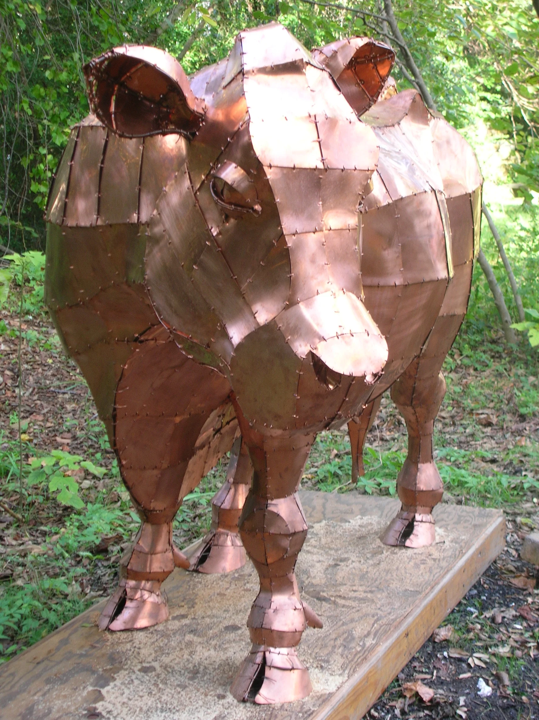 cfa086.jpg