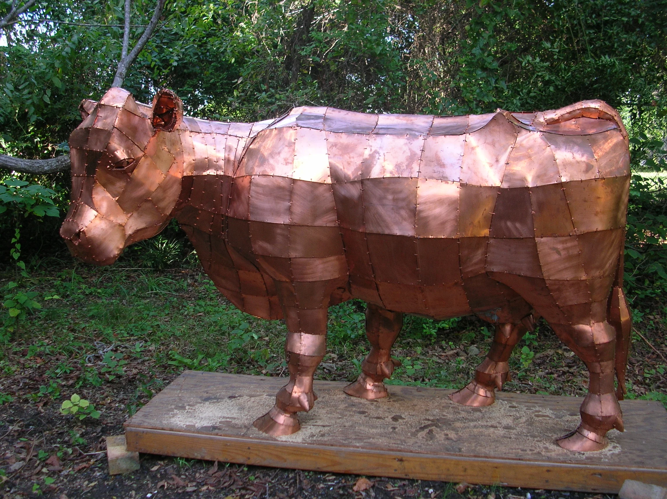 cfa087.jpg