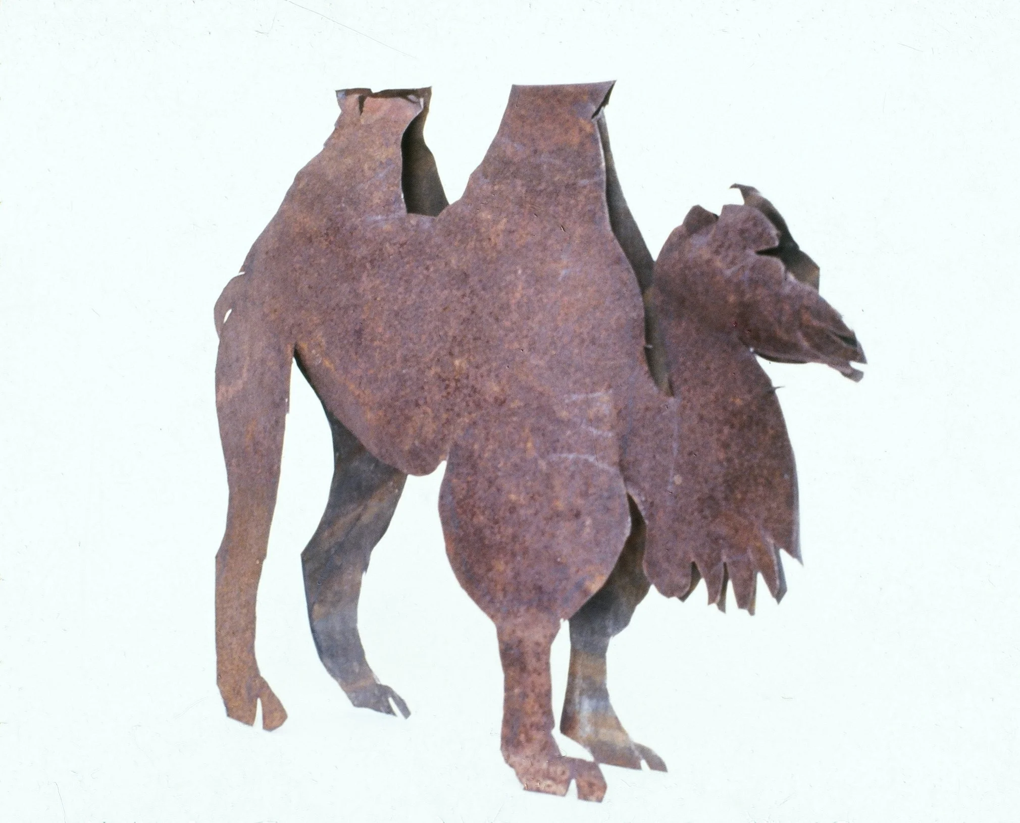 cfa029.jpg