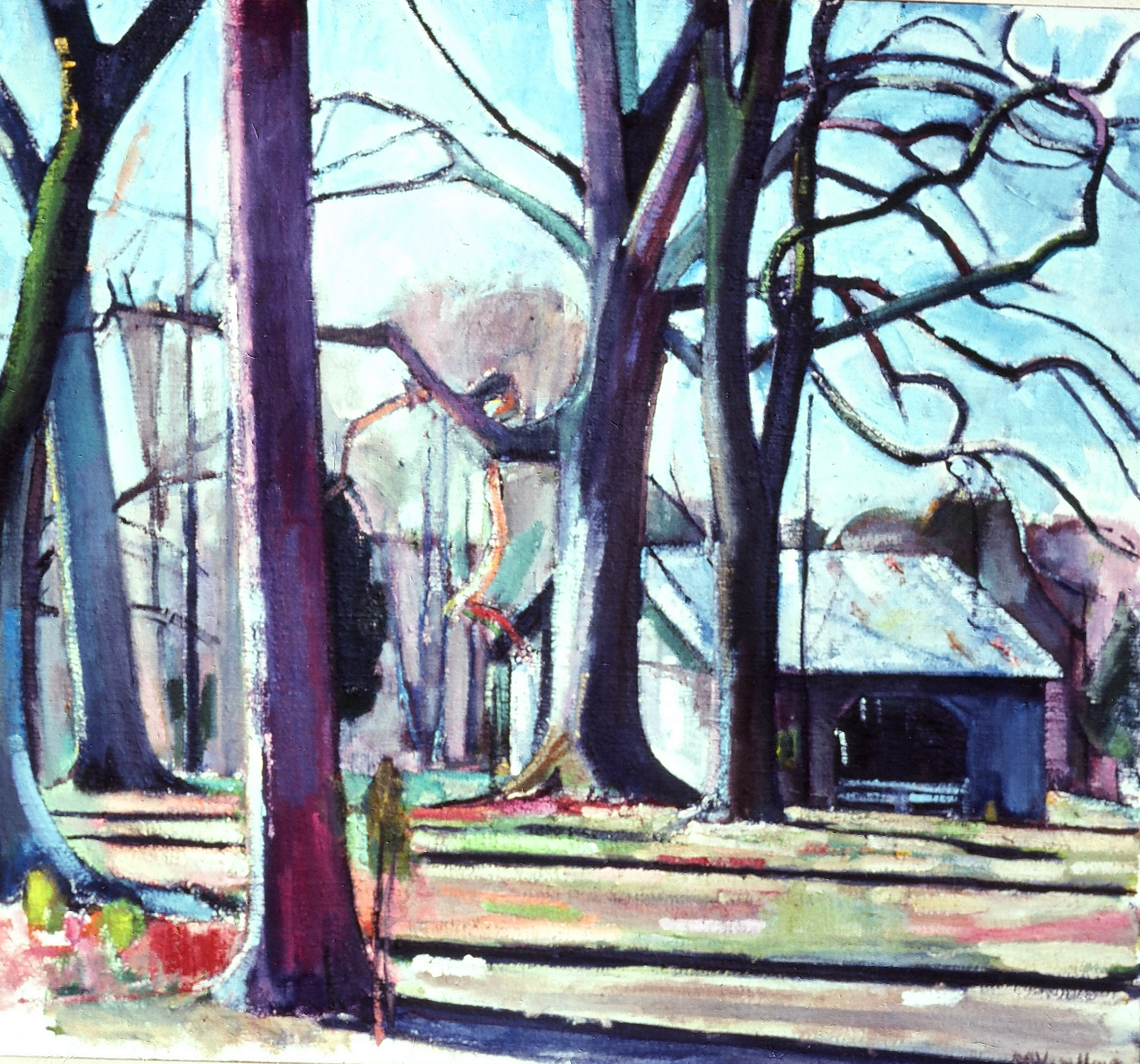 cfa010.jpg