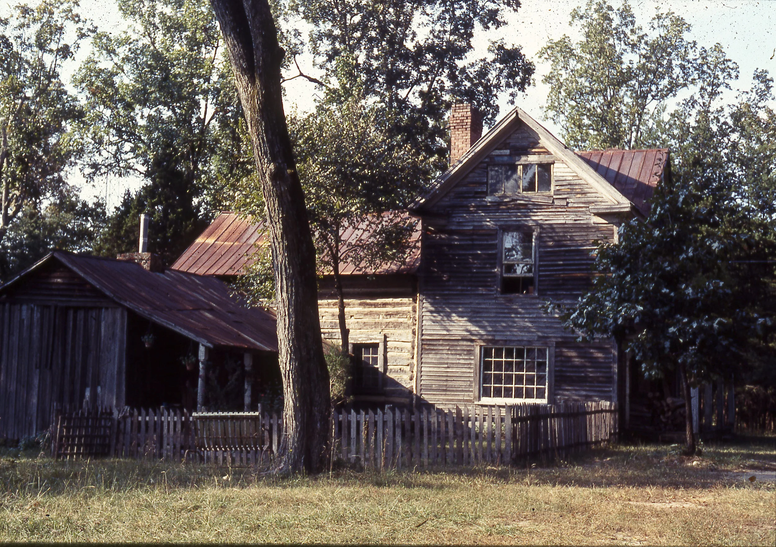 cfa001.jpg