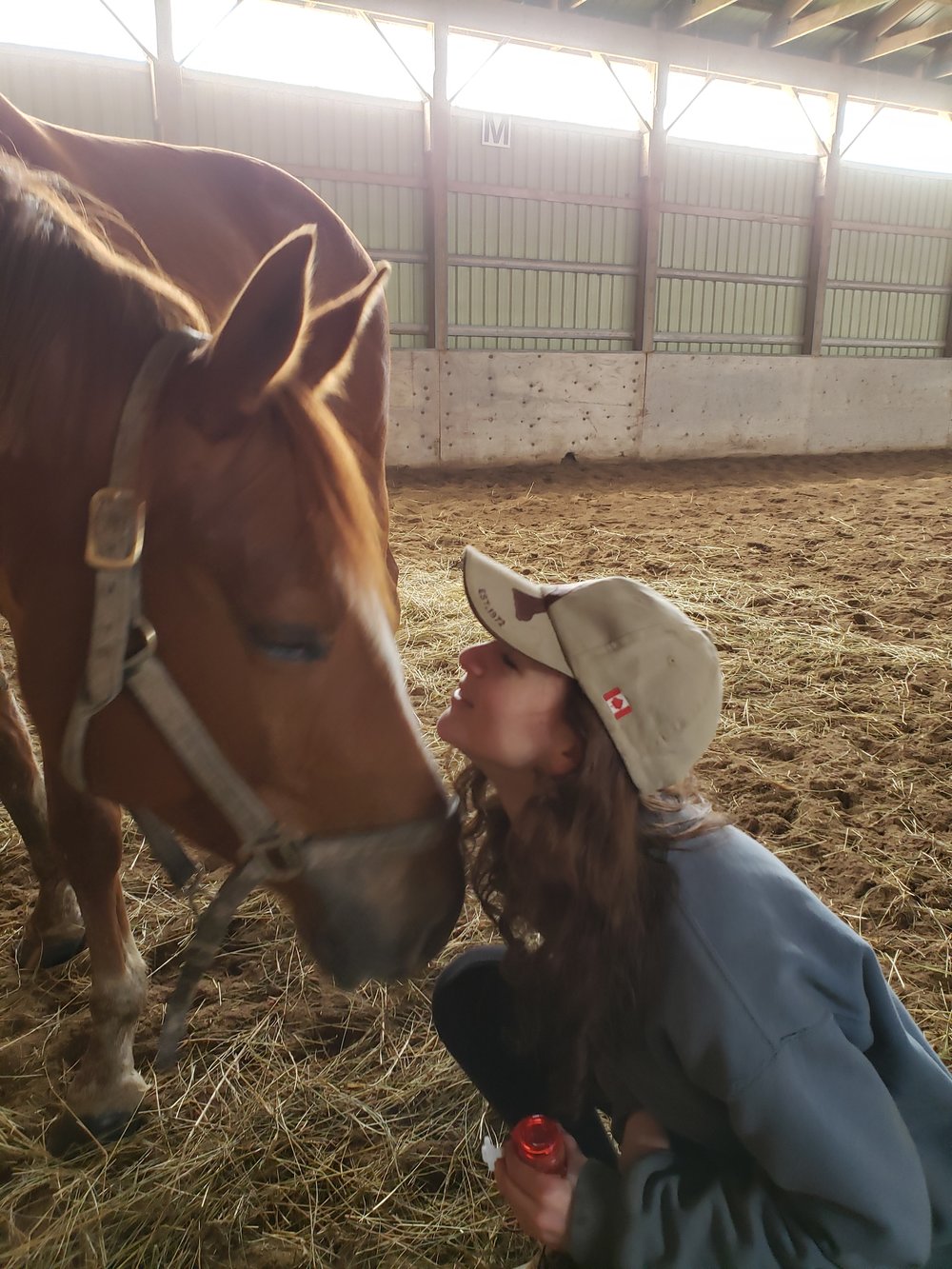 Alana Frewin_horses_her daughter Megan with Rose.jpg
