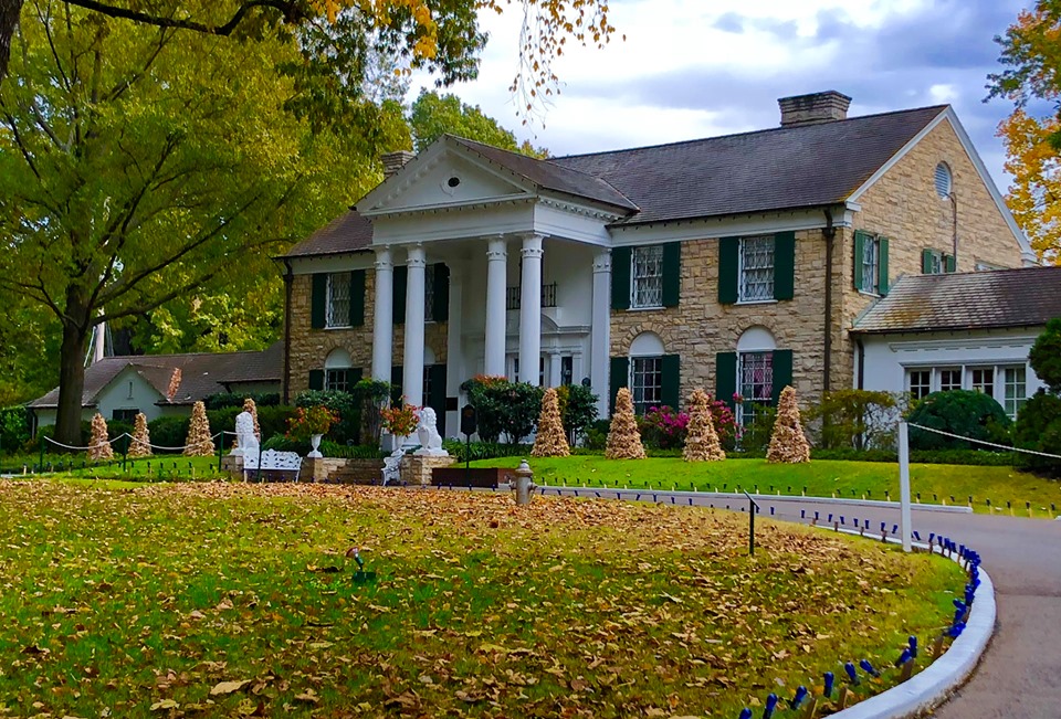 Carlo in Graceland 1a.jpg