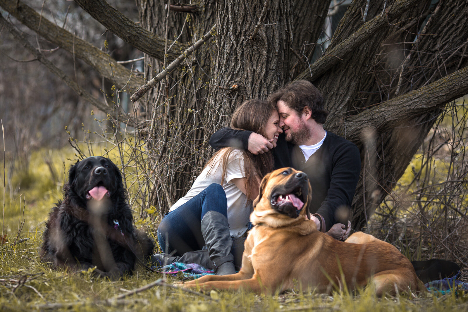 Lori_ two dogs Best_Engagement_1600PX-5586-2 (1).jpg
