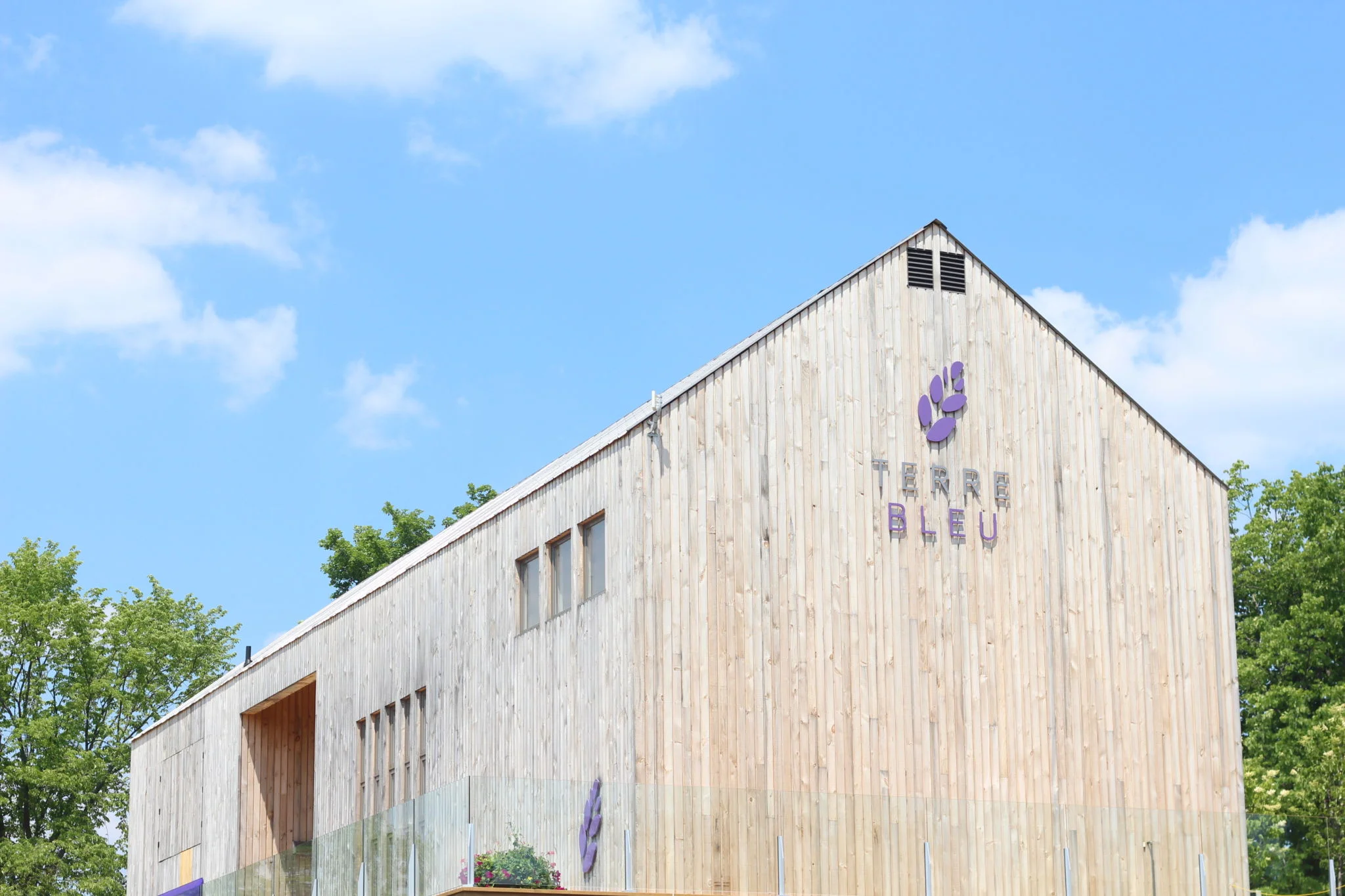 #ElaishaGoes to Terre Bleu: A Lavender Surprise