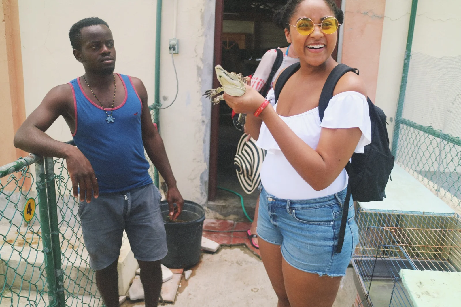  Black River Safari Cruise: I met a Crocodile 