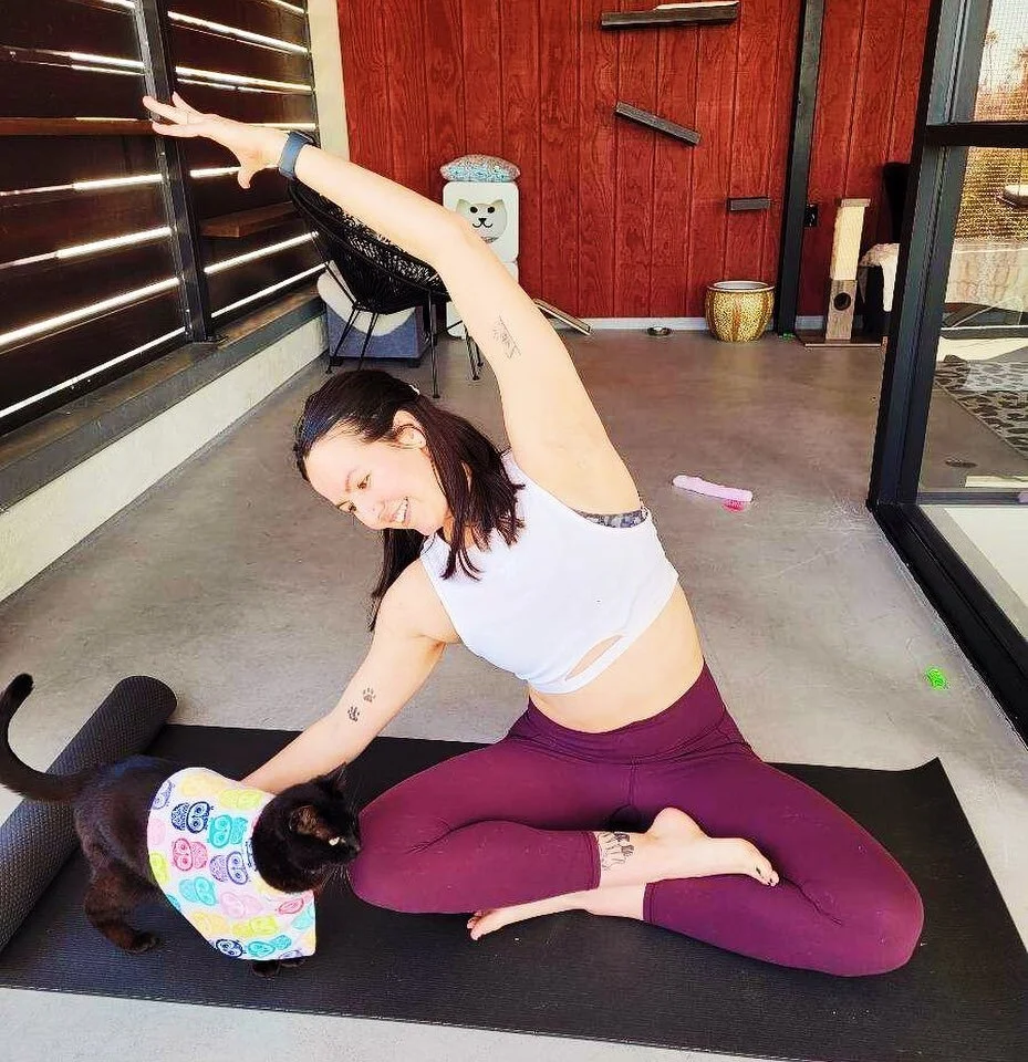 Join us for all levels kitten yoga this Saturday and Sunday! 

Link in the bio to reserve a spot🧘🏻&zwj;♀️