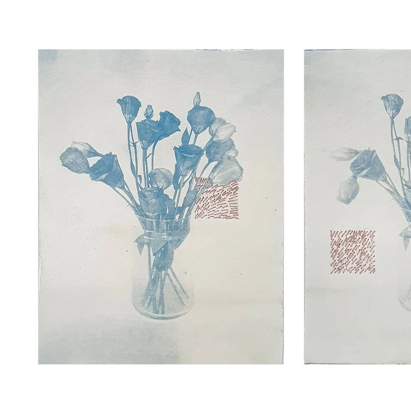 Lisianthus Memories 
Thread and cyanotype on paper
~
Times Long Past opens tomorrow at @blanc.gallery 💫

#cyanotype #embroidery