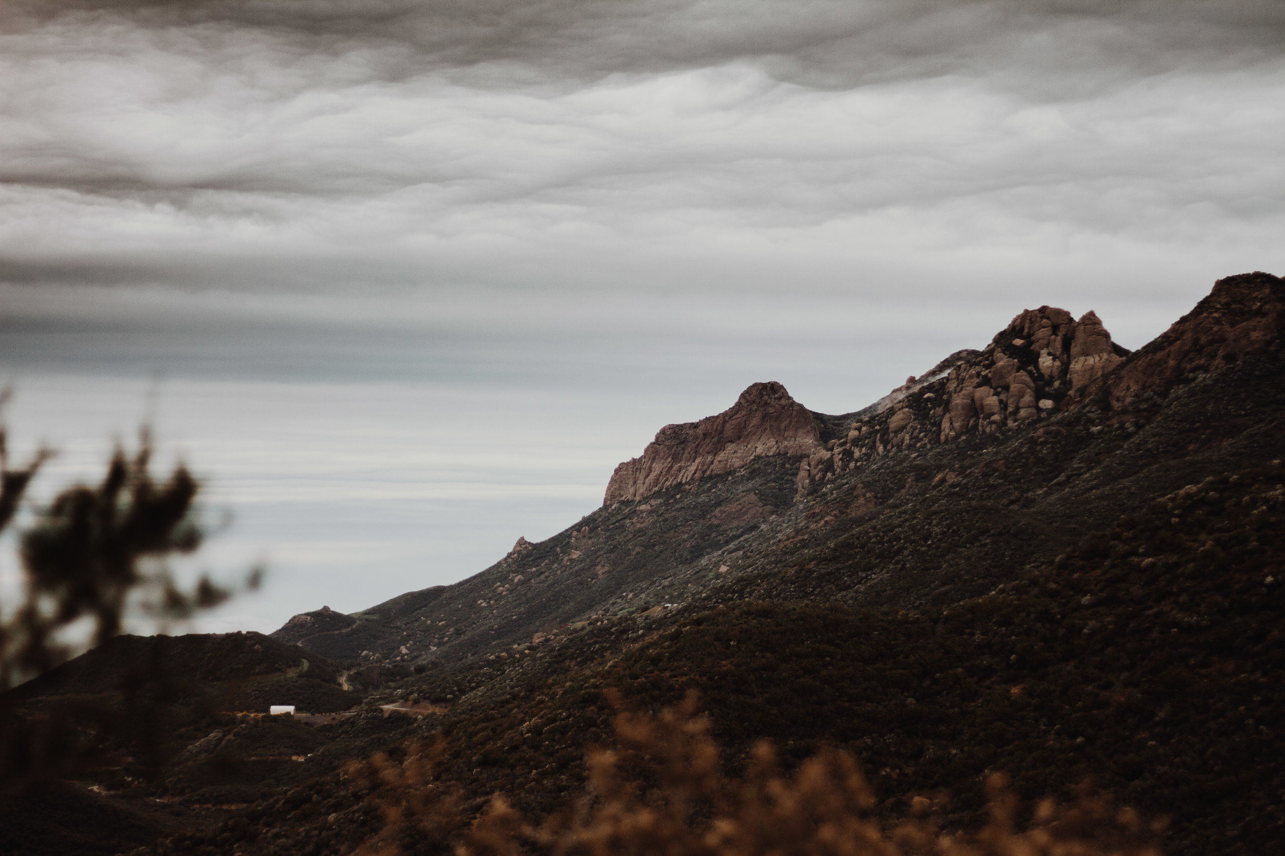 _MG_5668.jpg