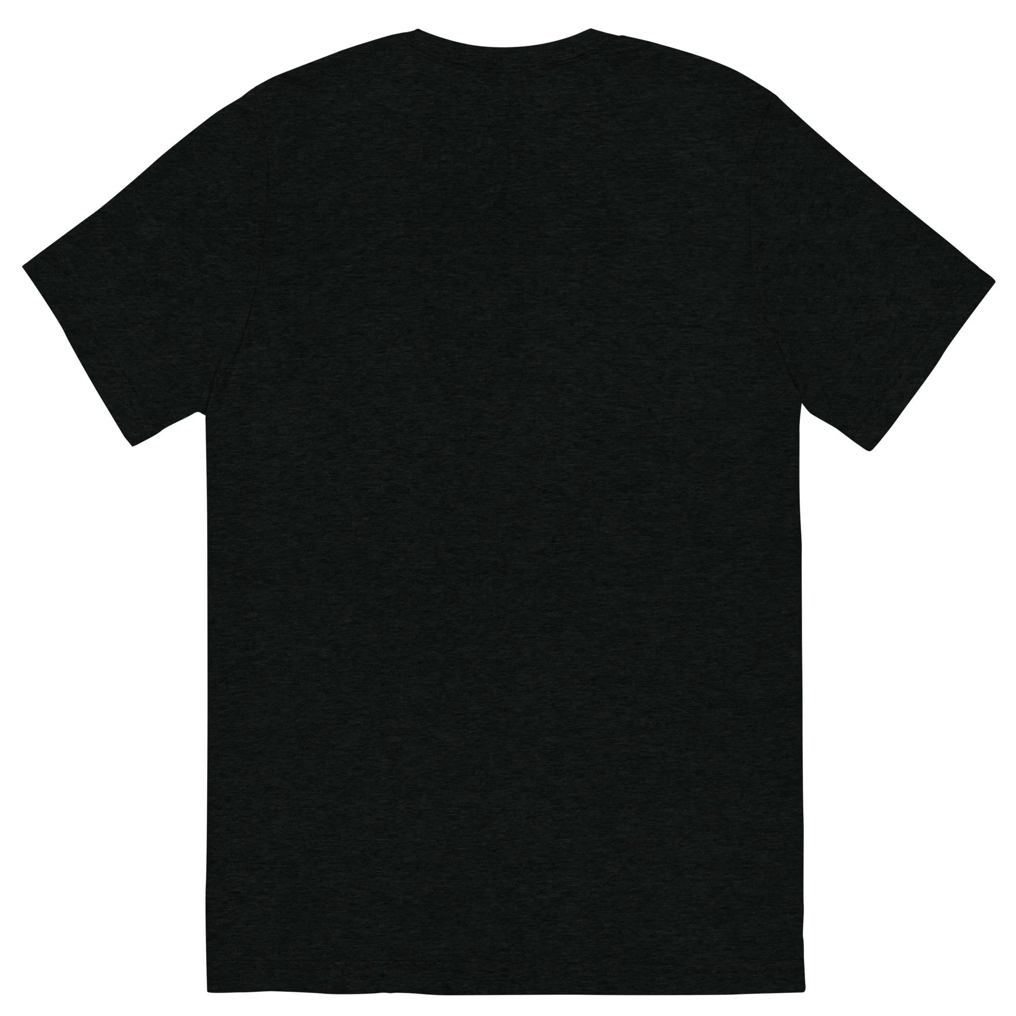 unisex-tri-blend-t-shirt-solid-black-triblend-back-6926f4d0c5ae8.jpg