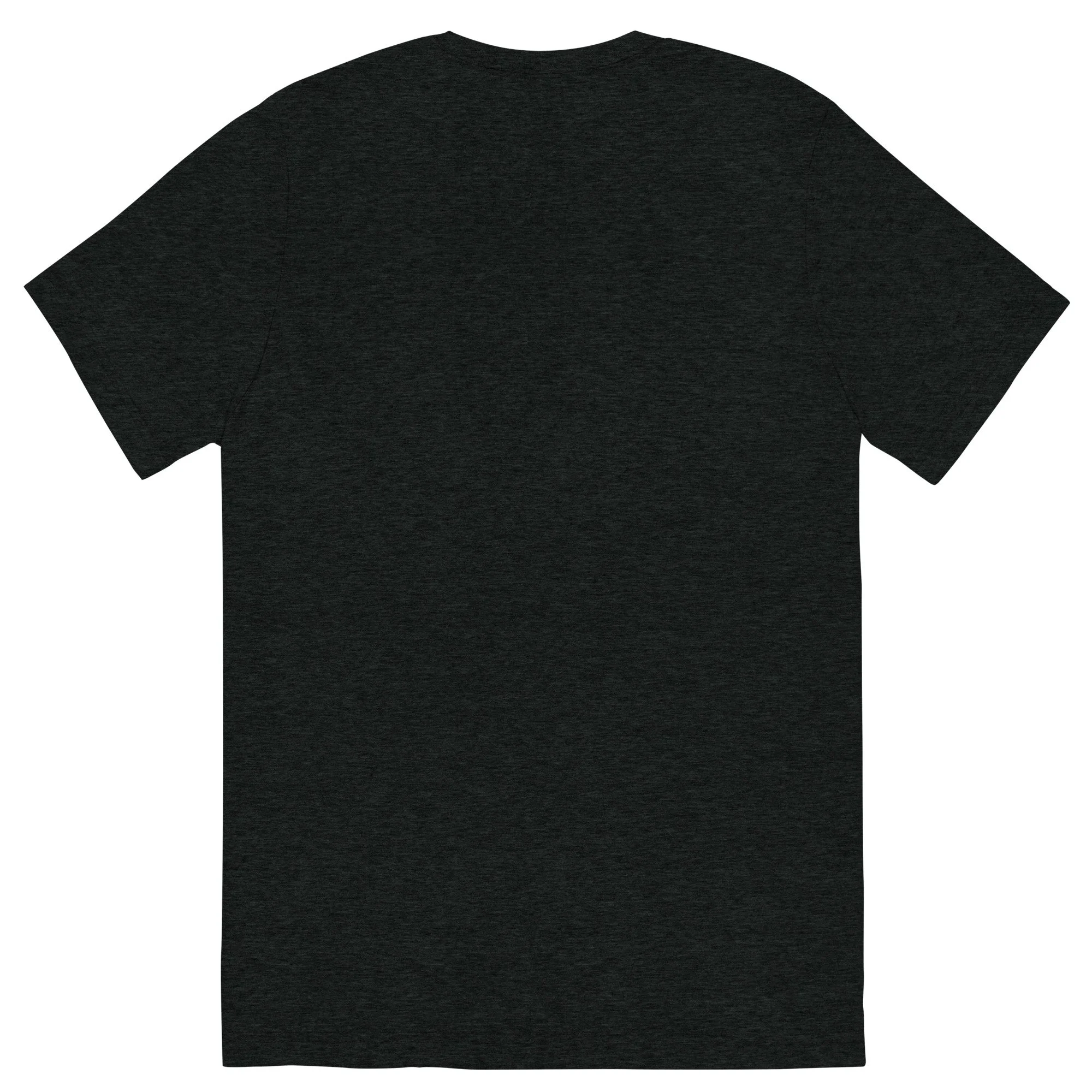 unisex-tri-blend-t-shirt-charcoal-black-triblend-back-6927091a3607f.jpg