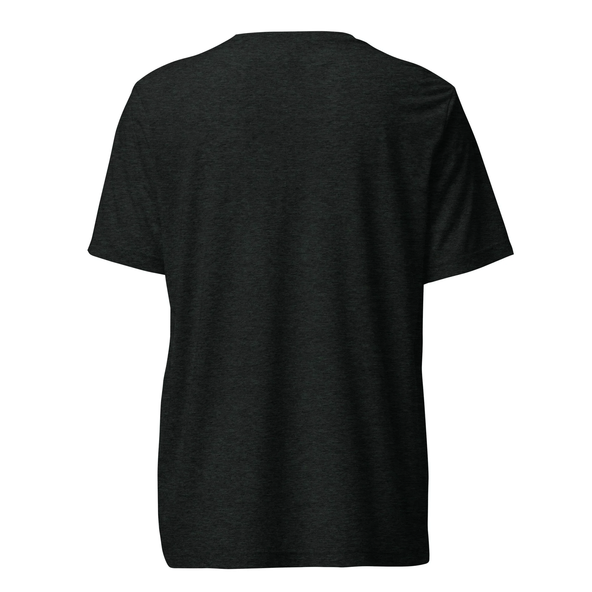 unisex-tri-blend-t-shirt-charcoal-black-triblend-back-693c1ed4ba1b5.jpg