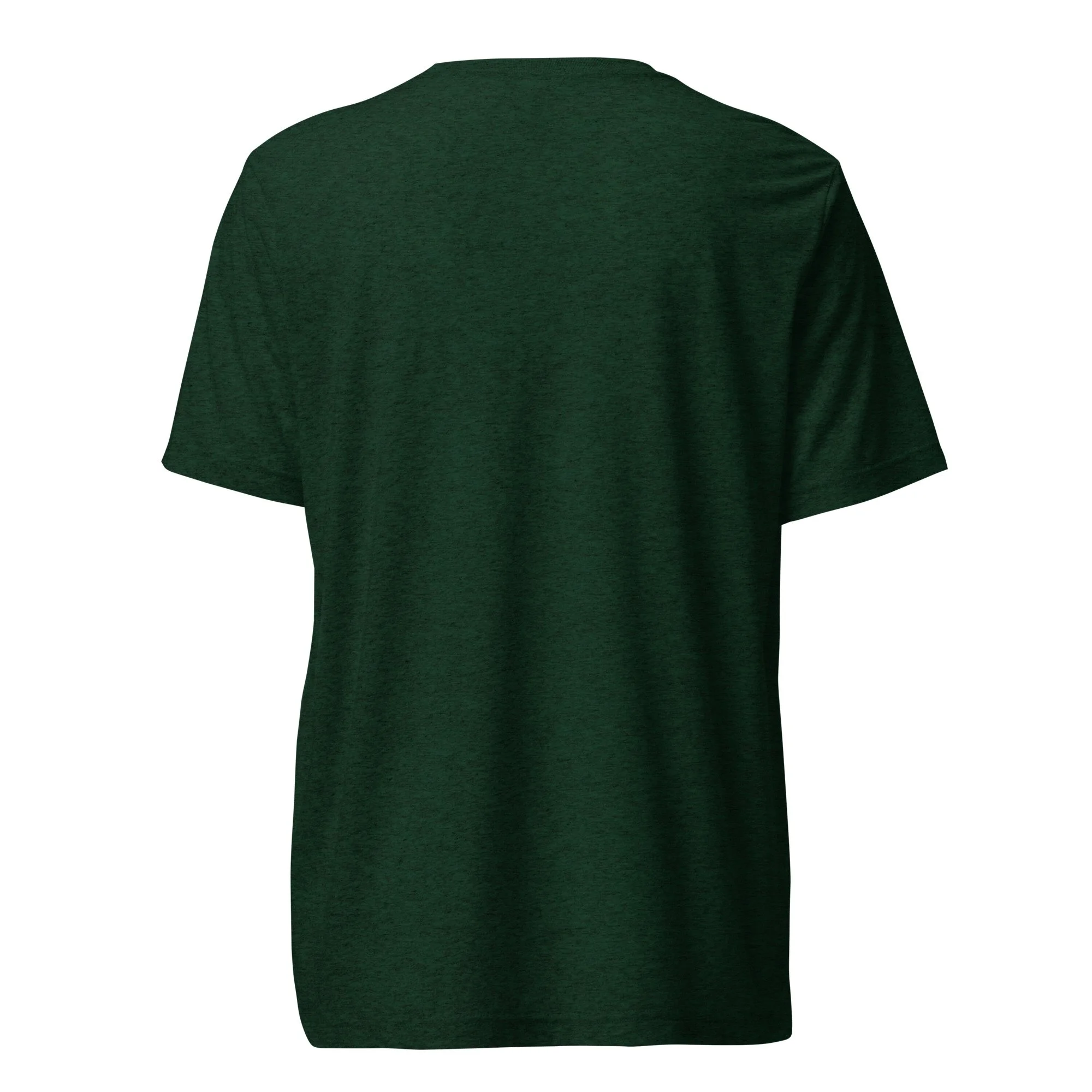 unisex-tri-blend-t-shirt-emerald-triblend-back-693c2045ae5d8.jpg