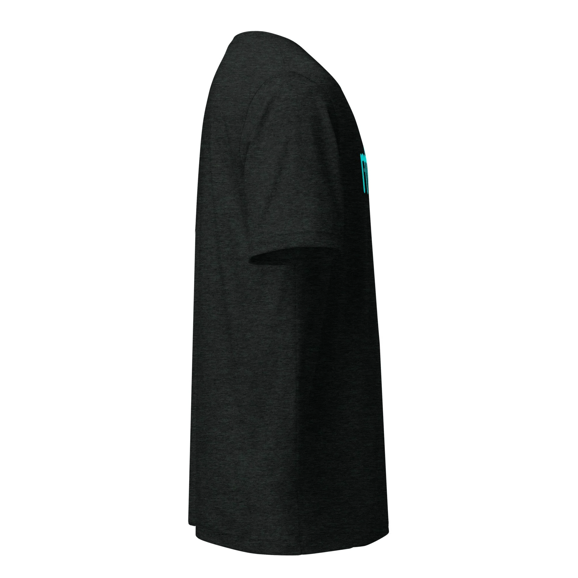 unisex-tri-blend-t-shirt-charcoal-black-triblend-right-693c209116383.jpg