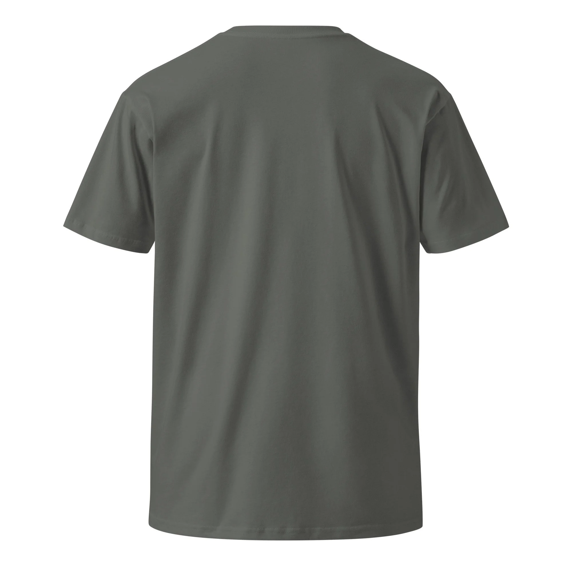 unisex-premium-t-shirt-charcoal-back-6944a308ee8b6.jpg