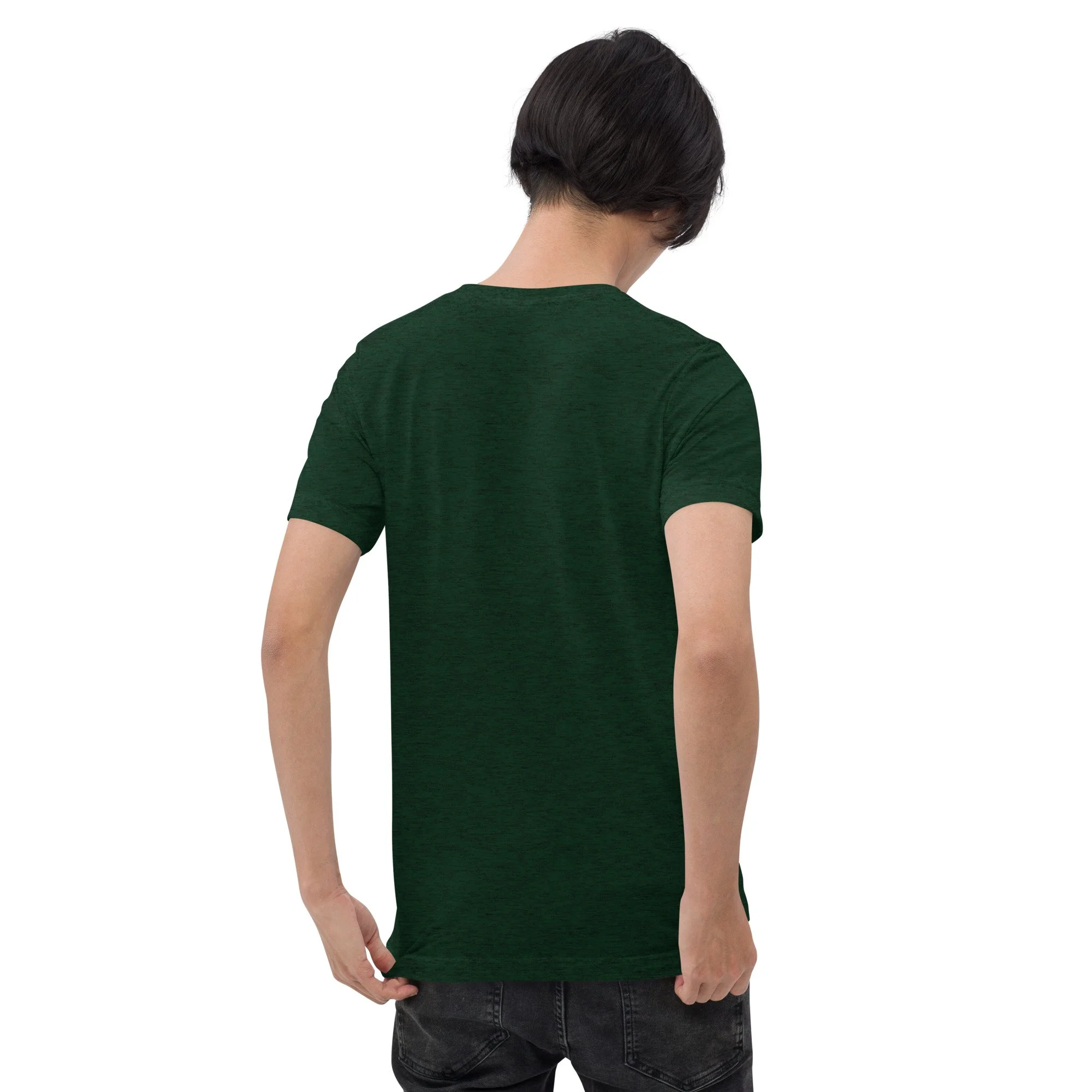 unisex-tri-blend-t-shirt-emerald-triblend-back-69a890f7ca054.jpg