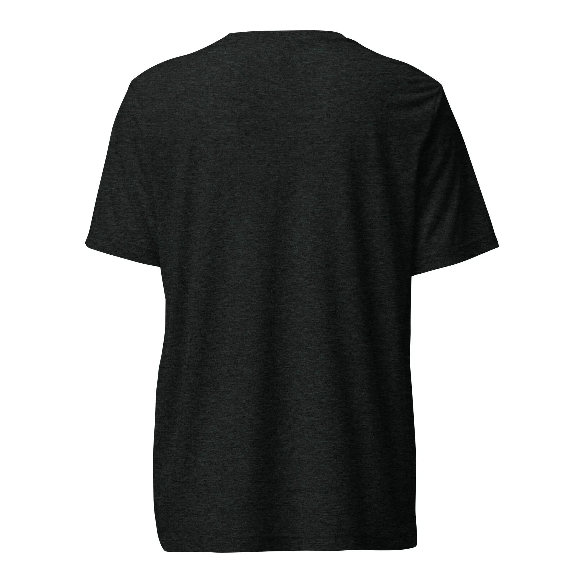 unisex-tri-blend-t-shirt-charcoal-black-triblend-back-6a33e39aee3f0.jpg