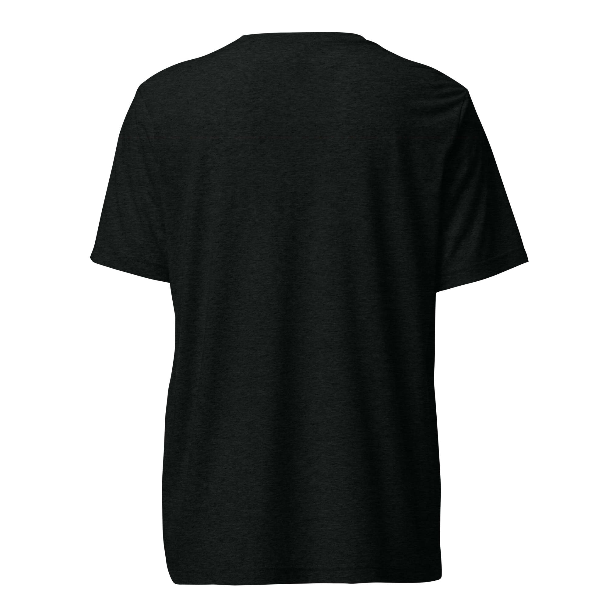 unisex-tri-blend-t-shirt-solid-black-triblend-back-6a3403098d2c0.png