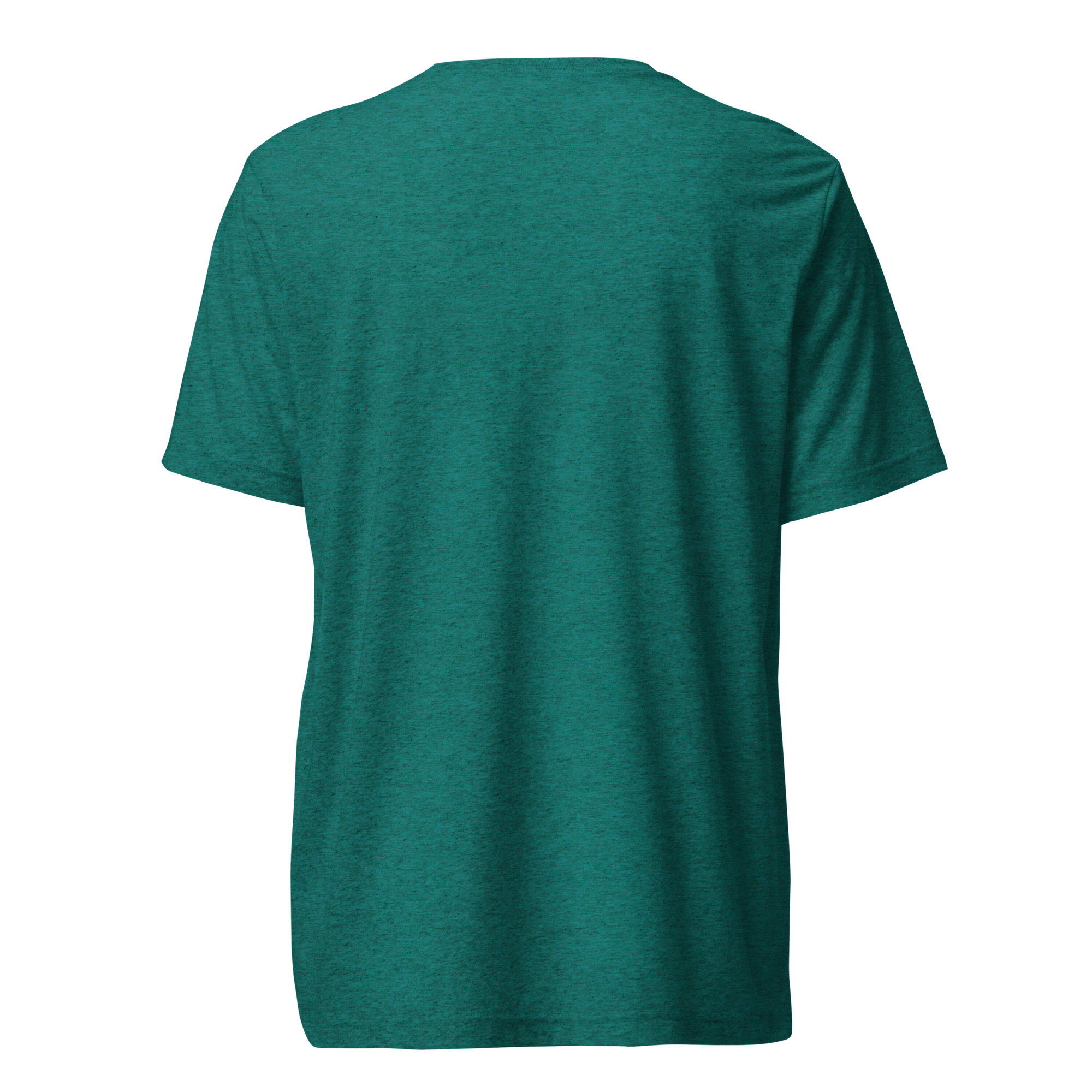unisex-tri-blend-t-shirt-teal-triblend-back-6a34030998f6b.png