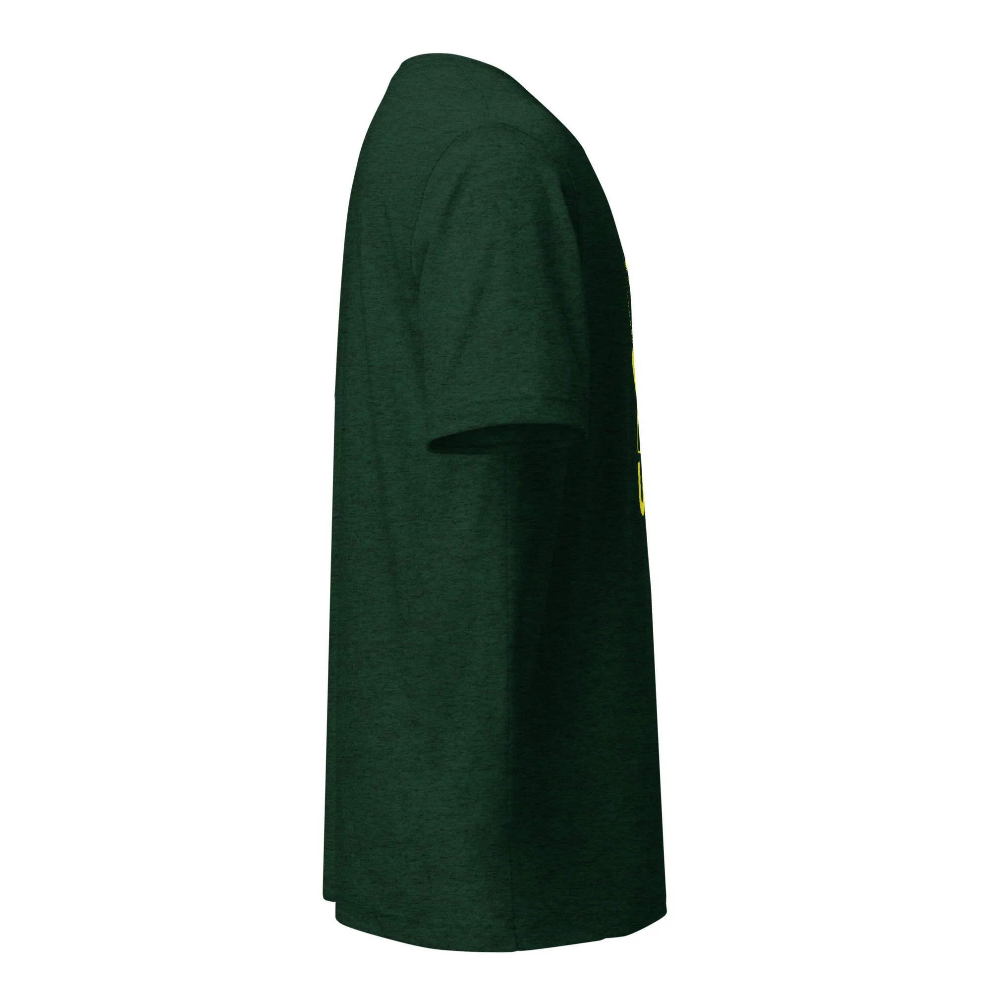 unisex-tri-blend-t-shirt-emerald-triblend-right-6a349b09bf67e.jpg